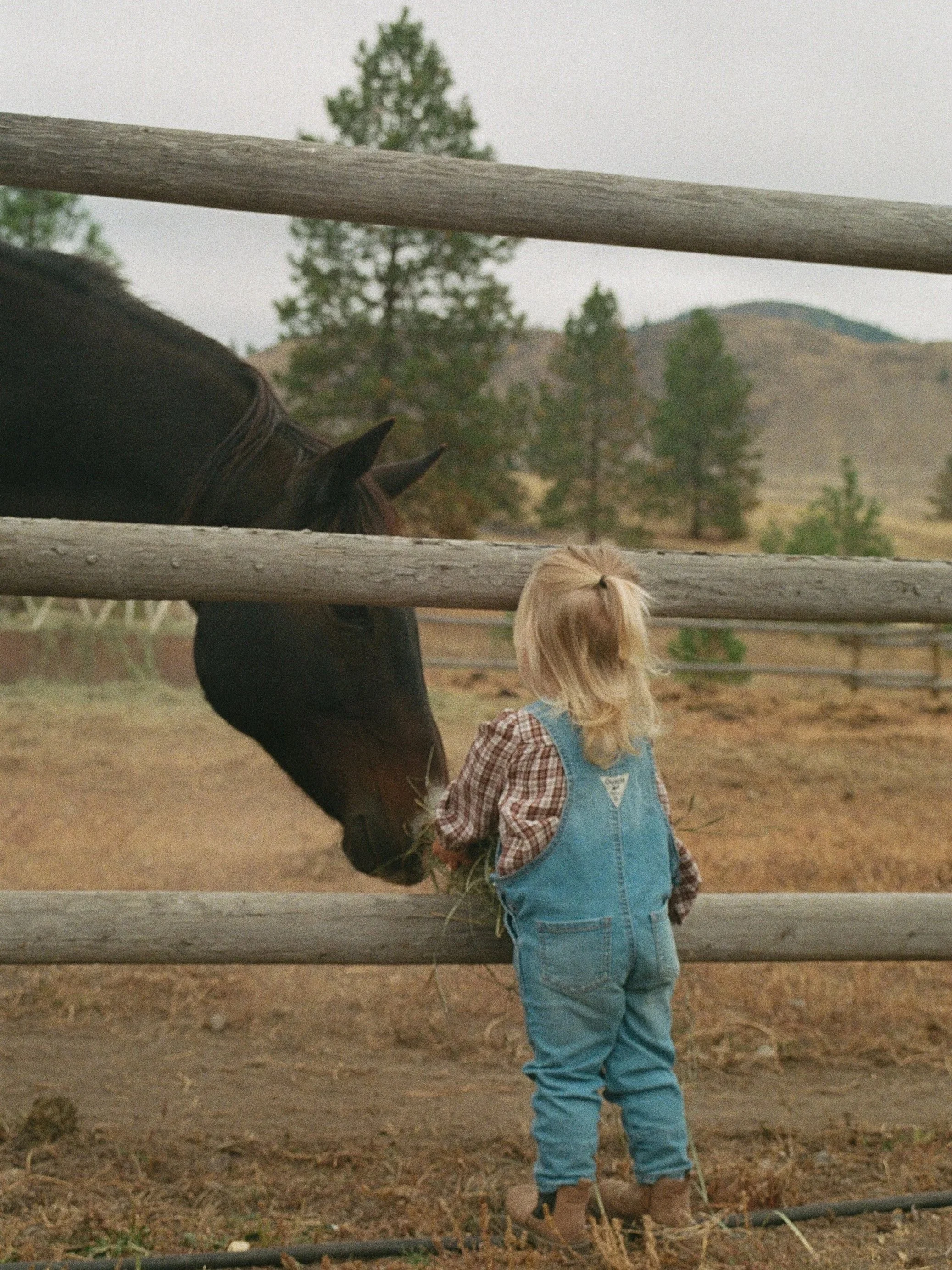 A young child with blonde hair, wearing denim overalls and boots, feeding a dark brown horse through a wooden fence in a rural setting with trees and hills in the background.