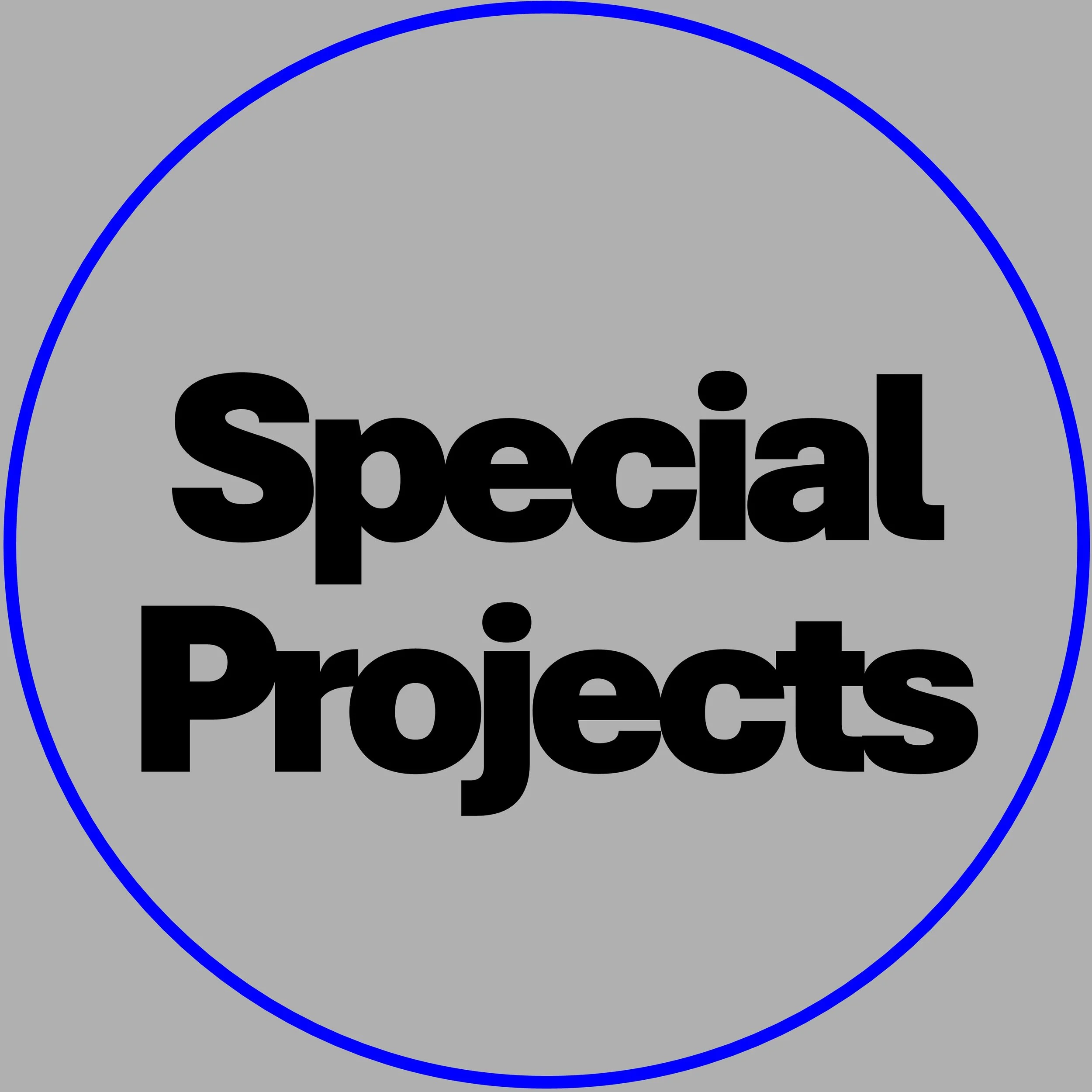 Gray circle with a blue outline containing the text 'Special Projects' in bold black font.