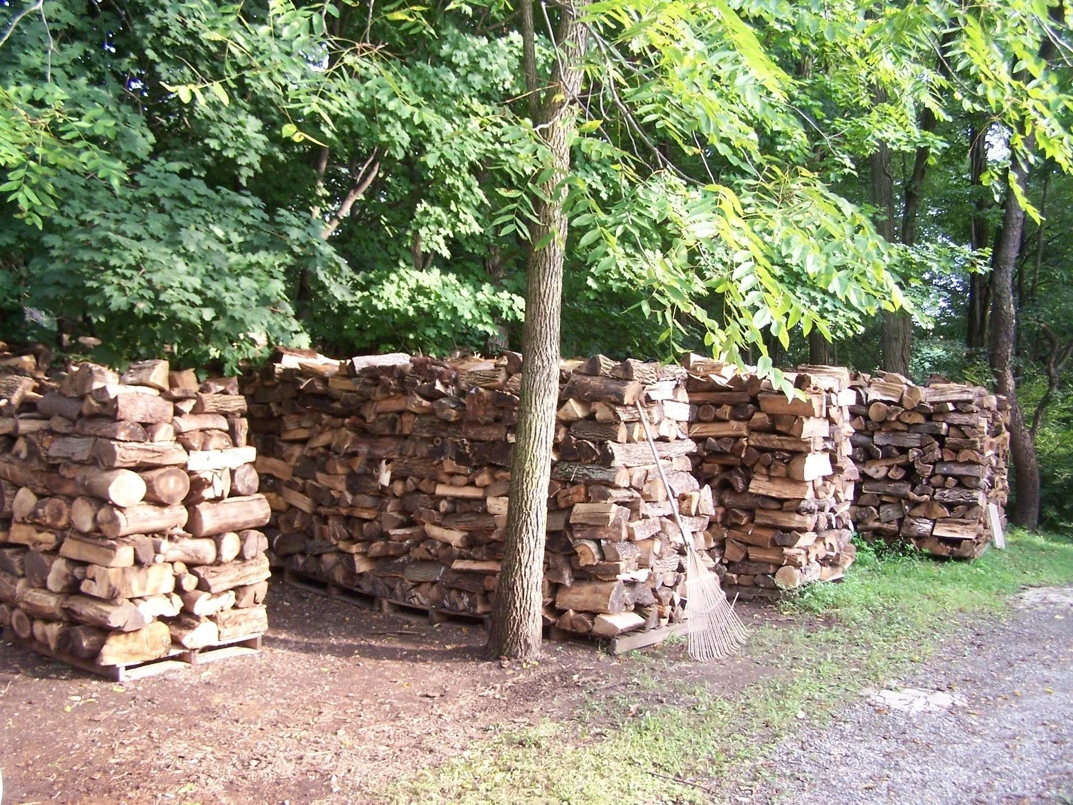 Dock Road, Carter, Fireood Fuel for Heat.jpg