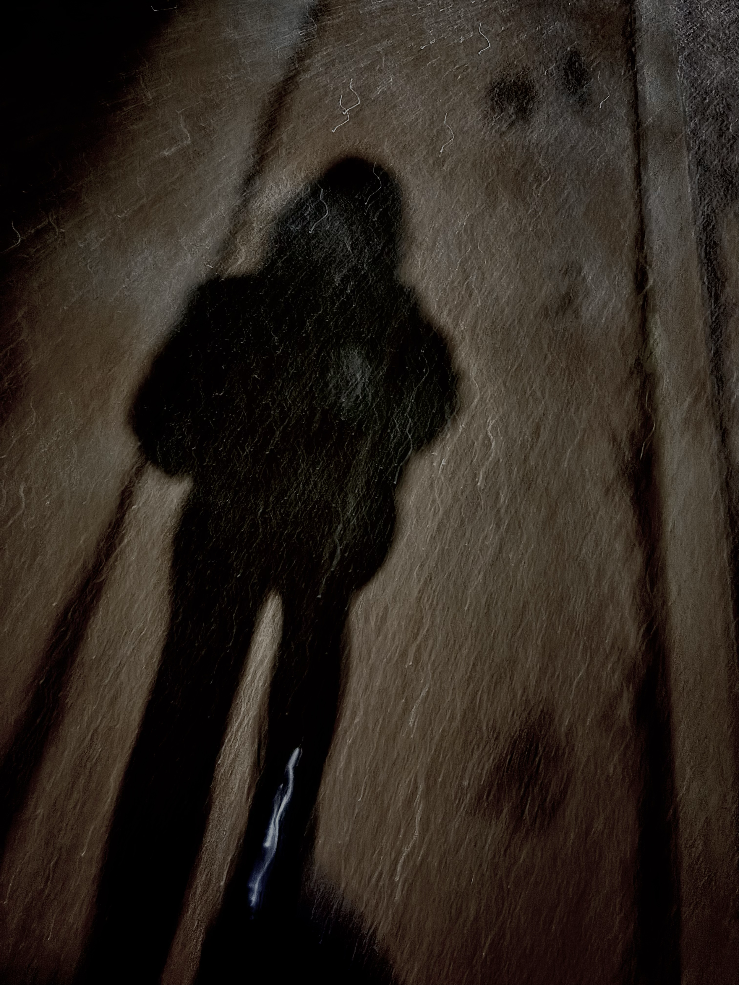 A dynamic silhouette of a woman walking at night, her long shadow stretching across the ground. Eine dynamische Silhouette einer Frau, die nachts geht, ihr langer Schatten über den Boden gezogen.