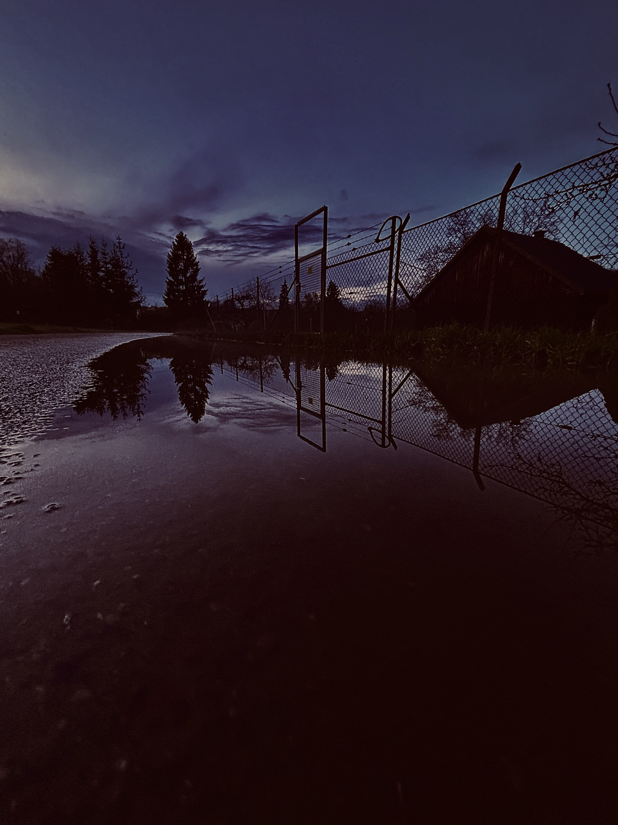 A reflection of trees and a fence in a large puddle at dusk, creating a moody, atmospheric scene with a dark, muddy path. Eine Spiegelung von Bäumen und einem Zaun in einer großen Pfütze in der Dämmerung, die eine stimmungsvolle Atmosphäre mit einem 
