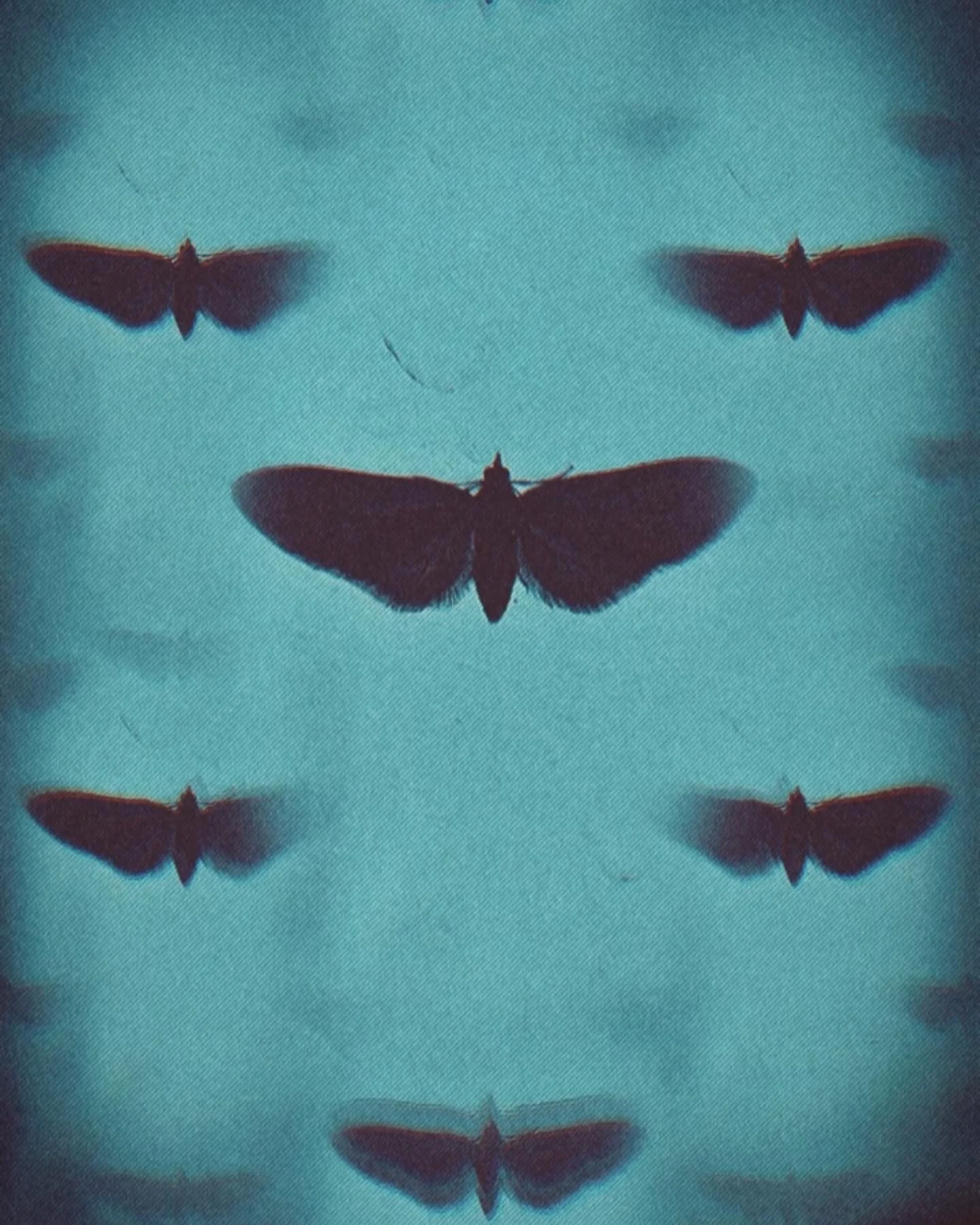 the infra ordinary // editorial aesthetics