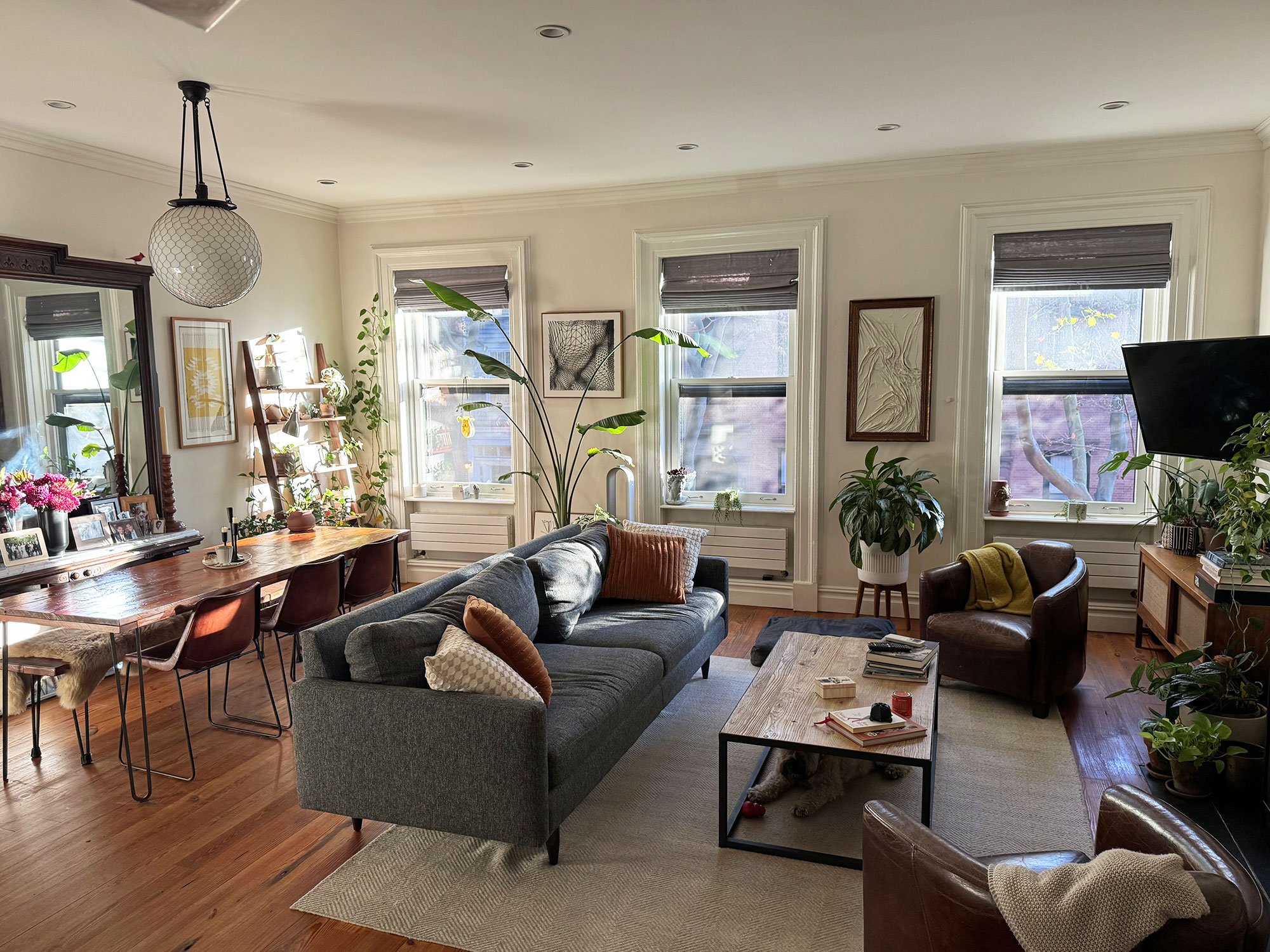 Living room with gray sofa, wooden coffee table, leather armchair, and multiple potted plants near windows with gray blinds, decorated with framed artwork and a large desk with chairs.