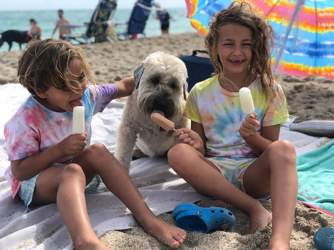 Two children and a dog on a sandy beach, enjoying popsicles. The children are wearing tie-dye shirts, and the dog is licking a popsicle. There are colorful umbrellas and other beachgoers in the background.