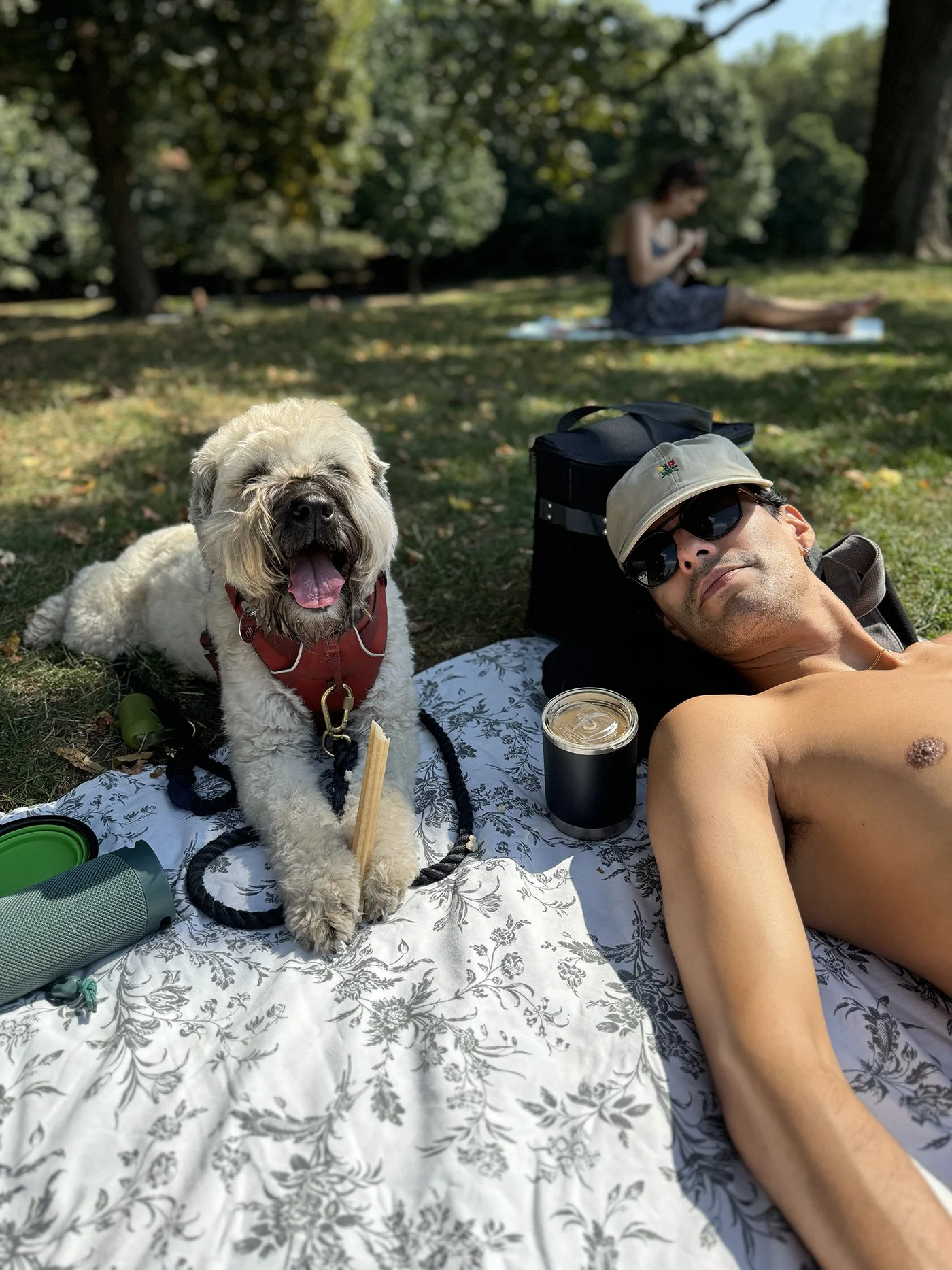 A man and a dog relaxing on a blanket in a park. The man is lying down shirtless and wearing sunglasses, while the dog appears happy with its mouth open and tongue out, holding a stick in its paws. There are trees in the background and a woman sittin