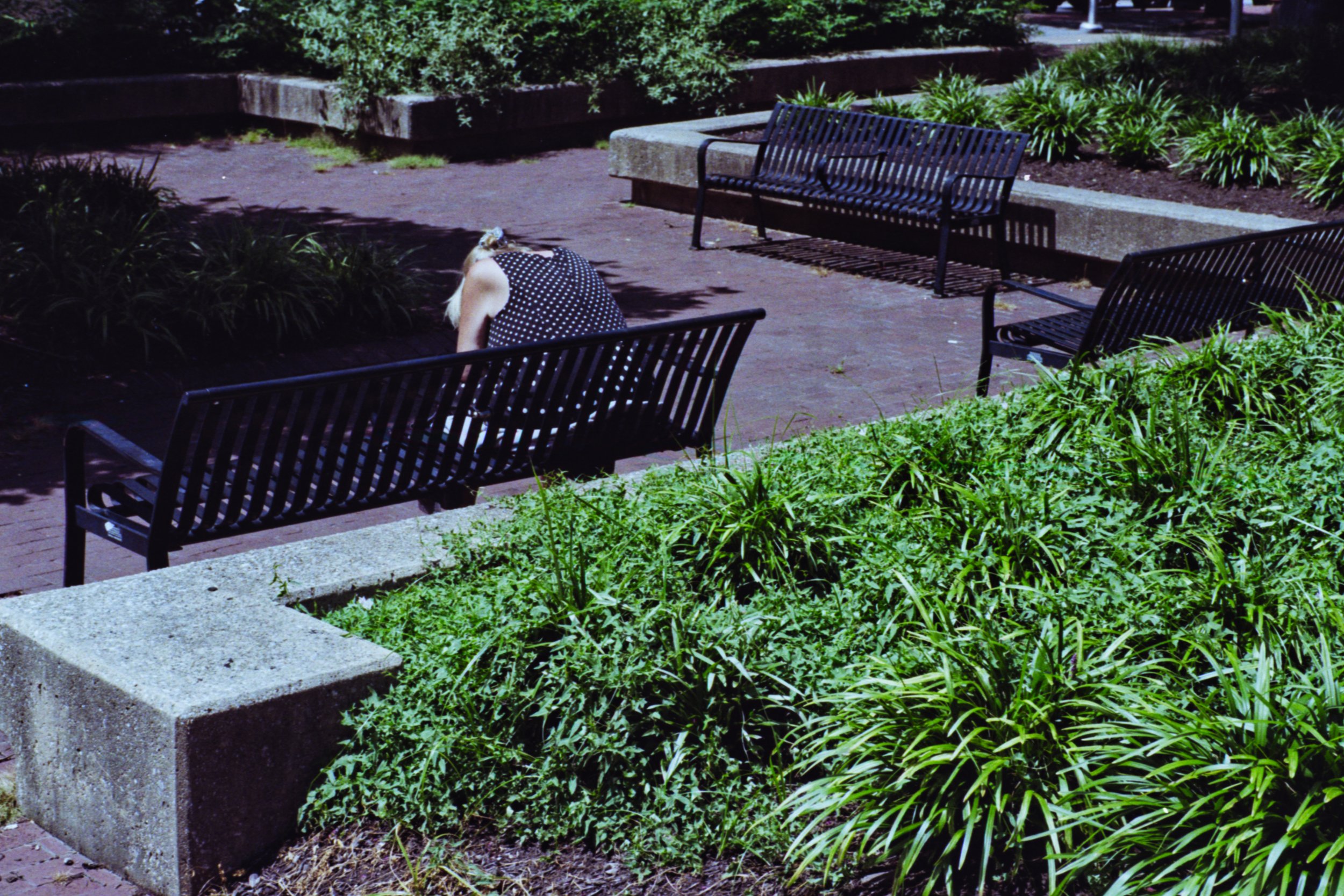 A person wearing a polka dot top with long blonde hair, sitting on a black metal park bench, head bowed down, in a park with green bushes and other benches.