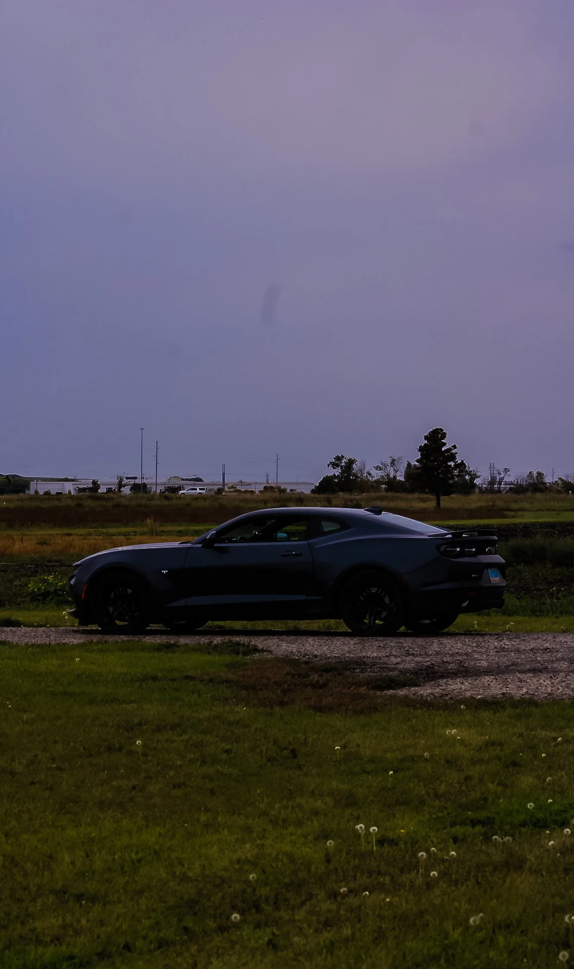 IMG_2784.jpg
