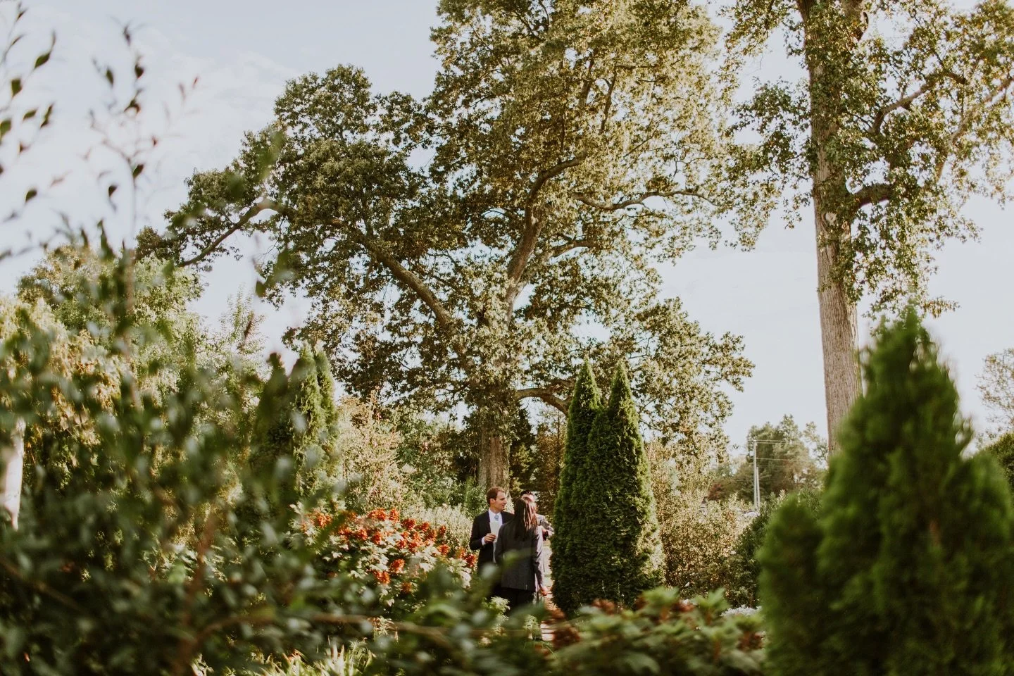 Dreaming of spring and designing more lush landscapes like this beauty at our Woodbury Gardens project.
⠀⠀⠀⠀⠀⠀⠀⠀⠀
photo @emily.gude