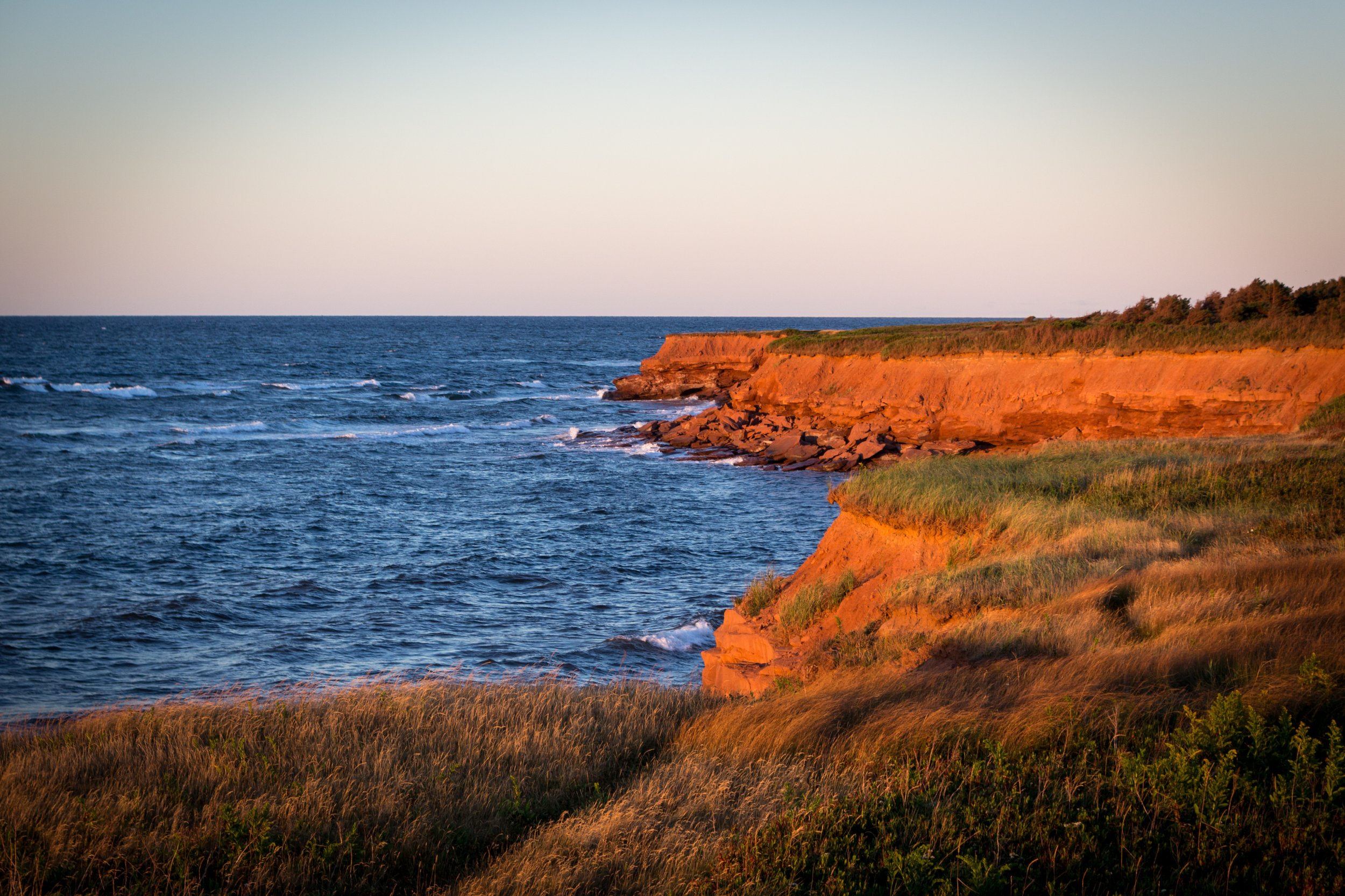 Blog Post Title Three