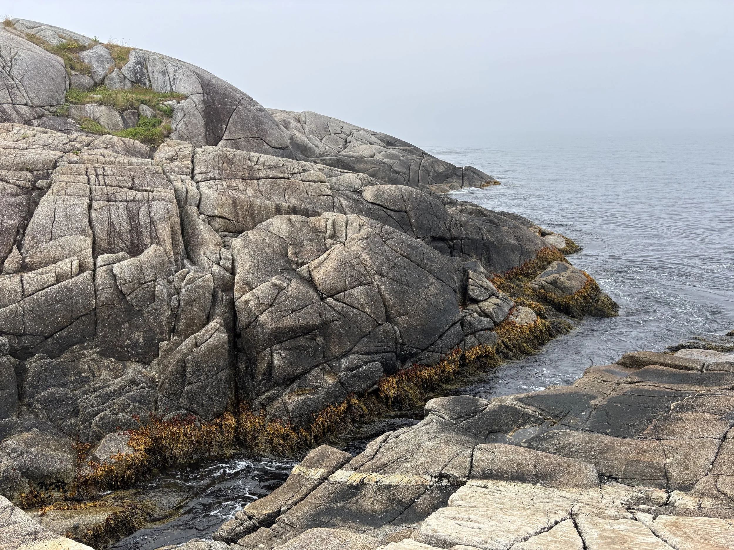 Coastline with large gray rocks and seaweed, and calm ocean beyond with overcast sky.