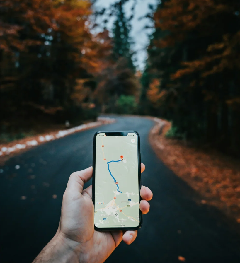 Person holding a smartphone with a map showing a route, on a paved road in a forested area during autumn.