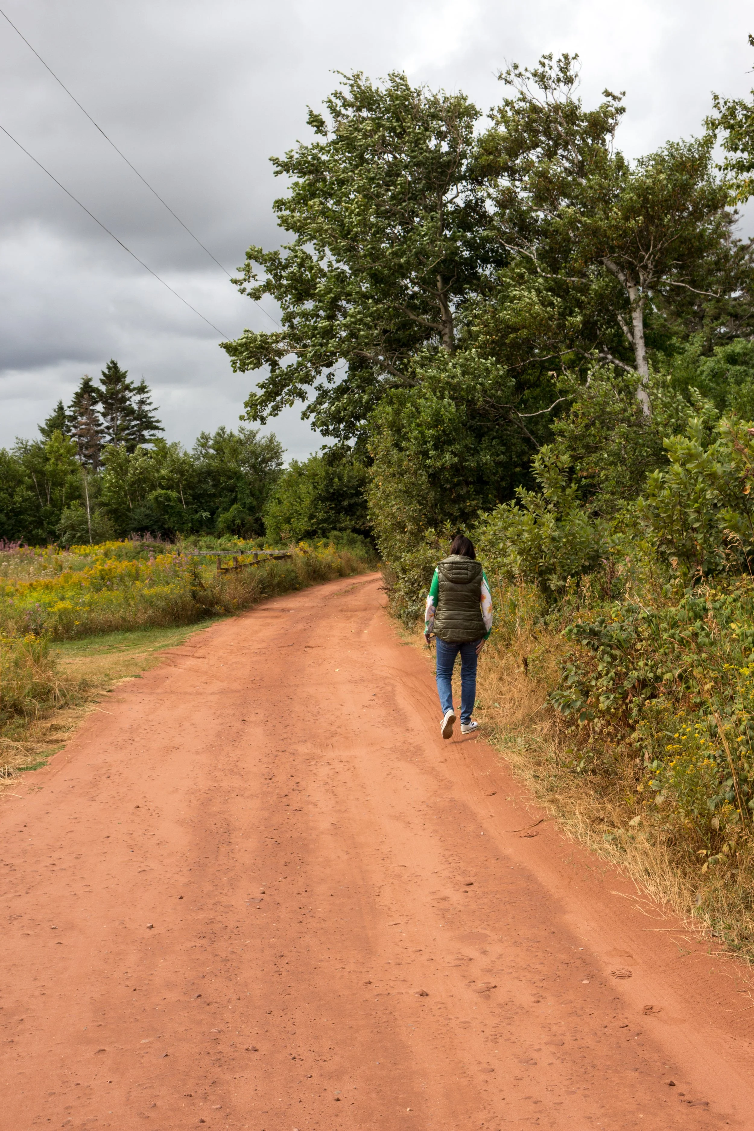 A person walking on a dirt trail through a natural landscape with trees and shrubs, under a cloudy sky.