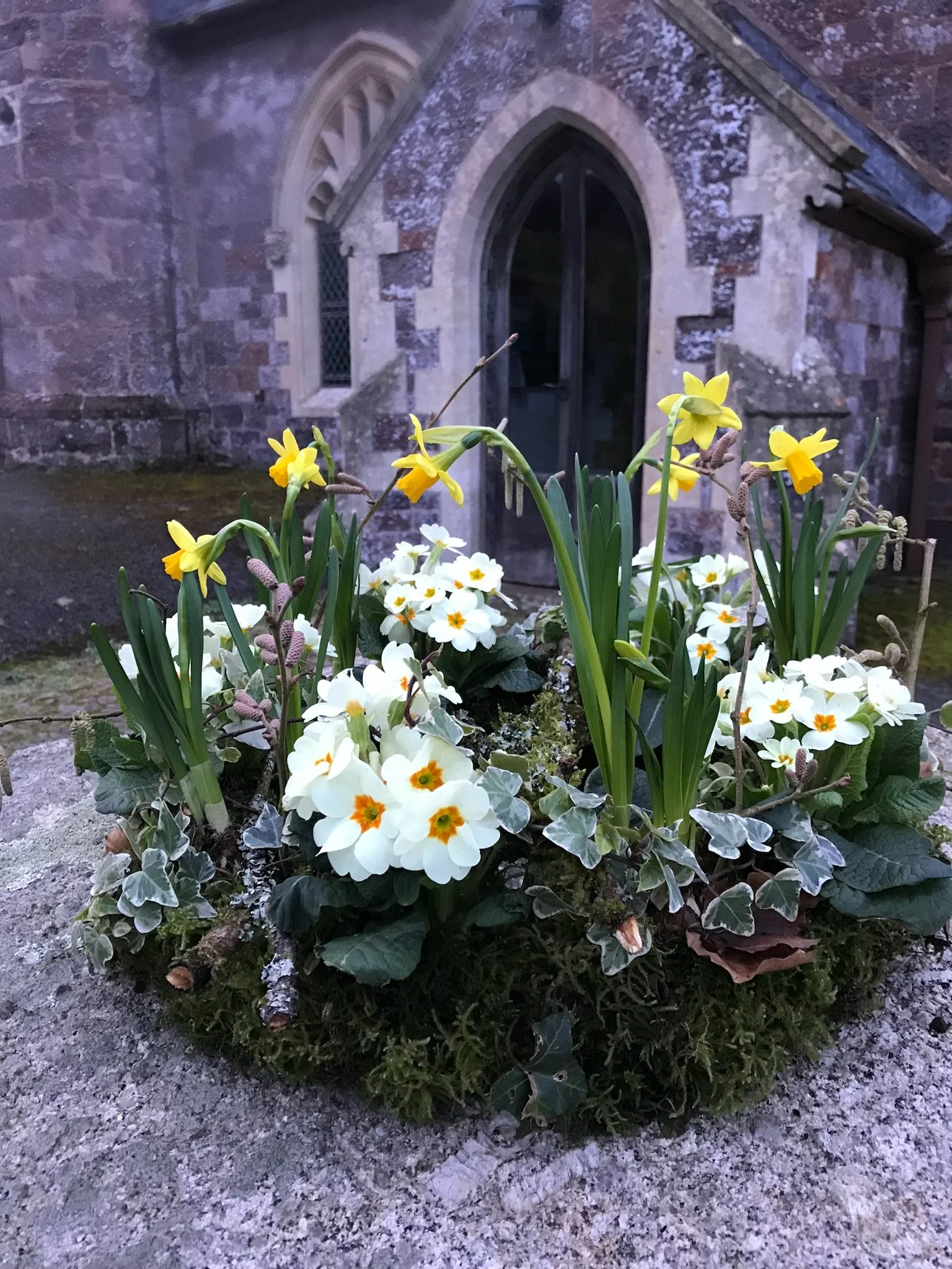 Flower bed with yellow daffodils and white primroses in front of an old stone church with arched windows.