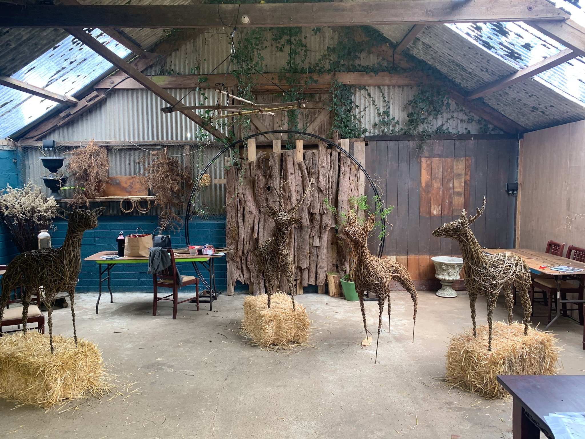 Interior of a rustic barn or shed with potted plants, hay bales, a table, chairs, and decorative wicker reindeer figures.