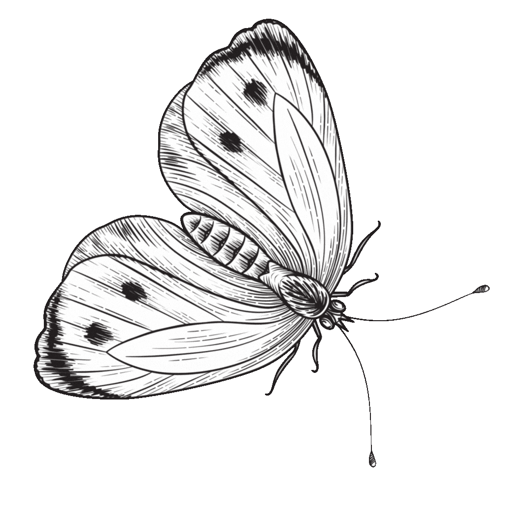 A black and white illustration of a butterfly with detailed wings on a black background.