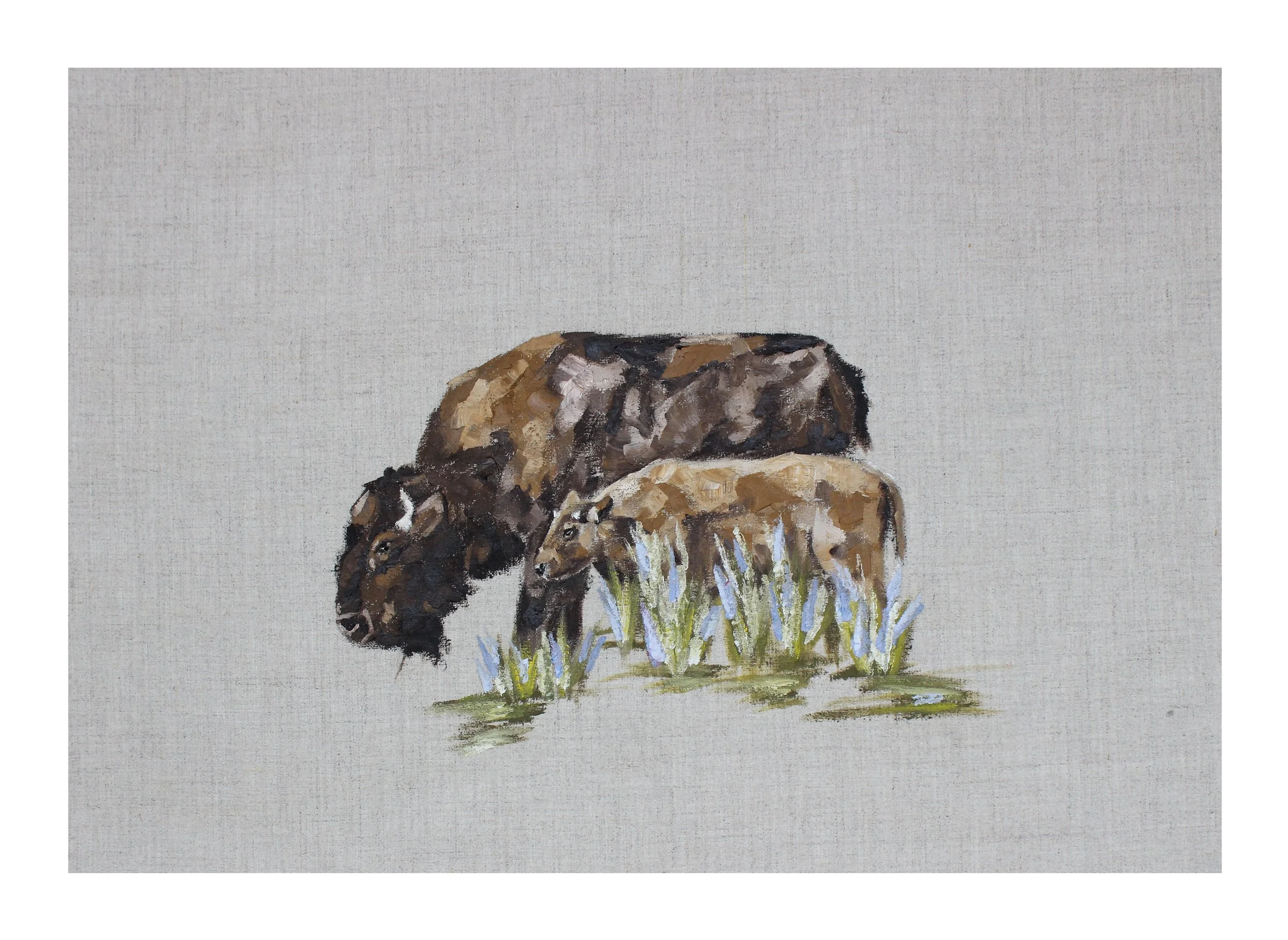 The Bison - Print