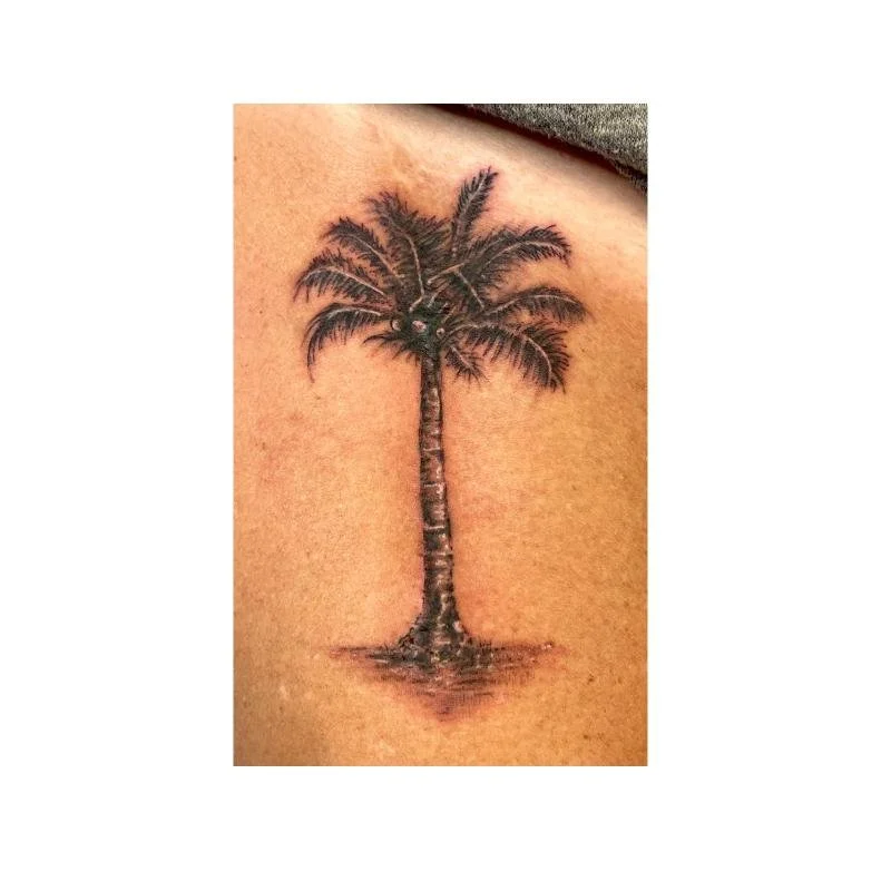 Tattoo of a palm tree on person's skin.