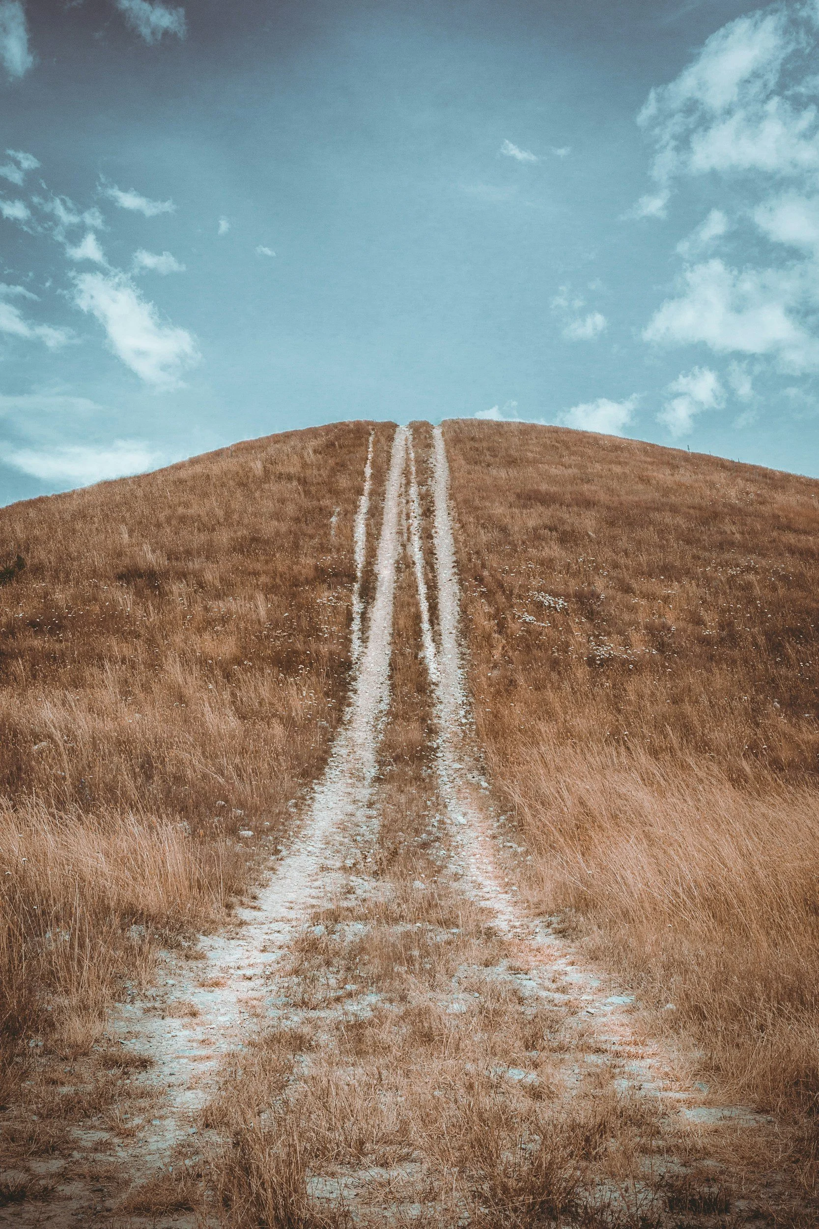 A dirt road with two parallel tire tracks running up a grassy hillside under a blue sky with scattered clouds.