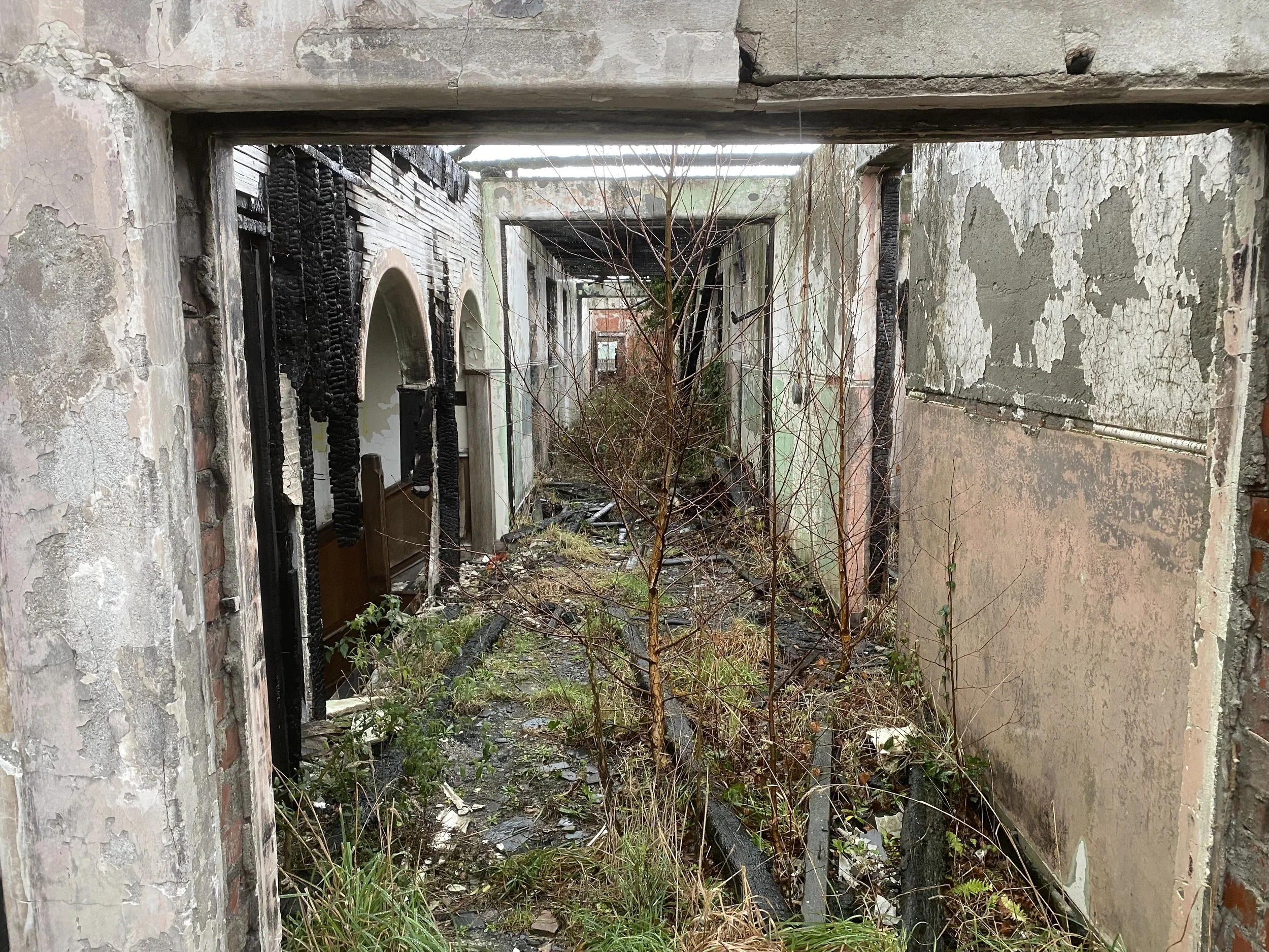 Pacific Asbestos Consultancy Professional Project Christchurch4.jpeg