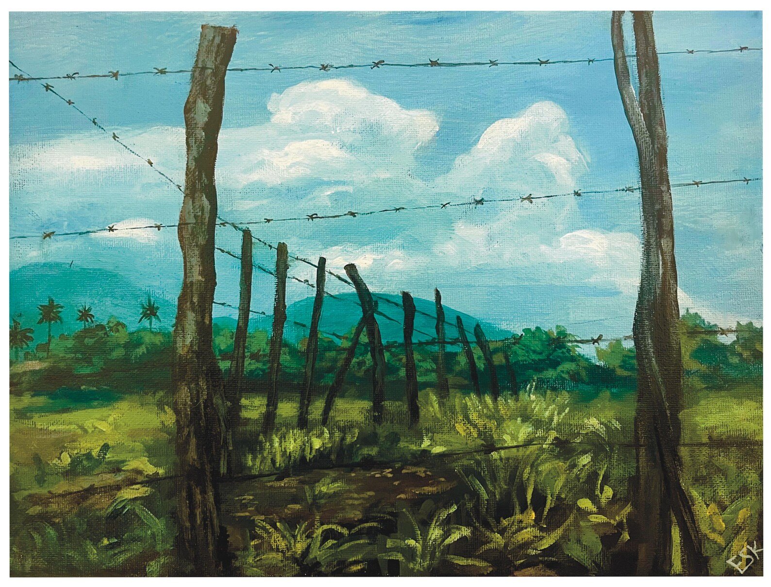 Colima Farm Field with Fence, print