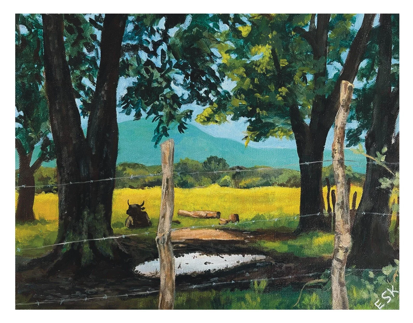 Colima Landscape no. 1, print