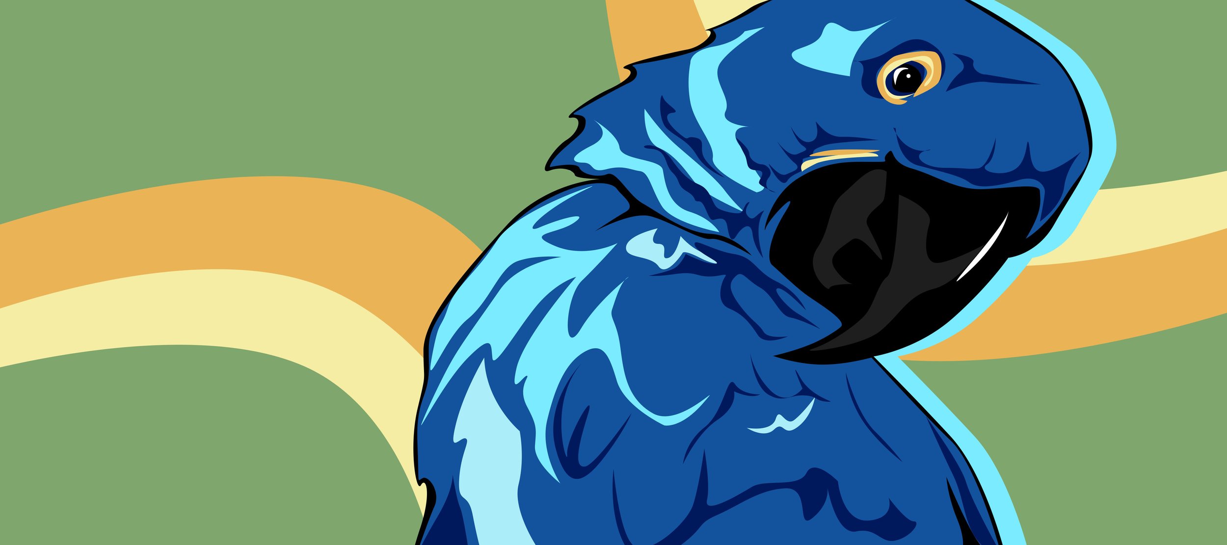 Banner - Macaw copy.jpg