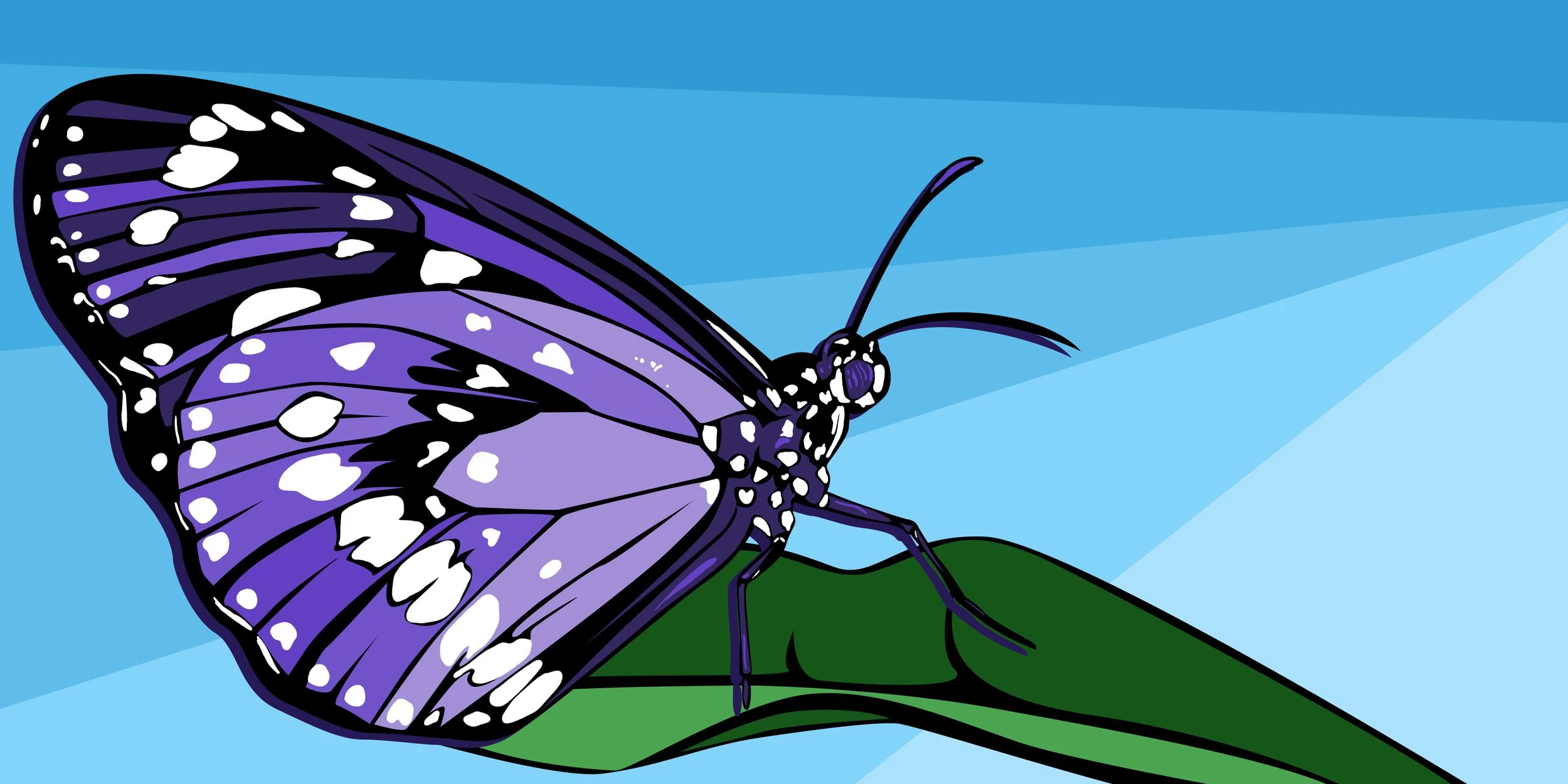 Fauna & Flora