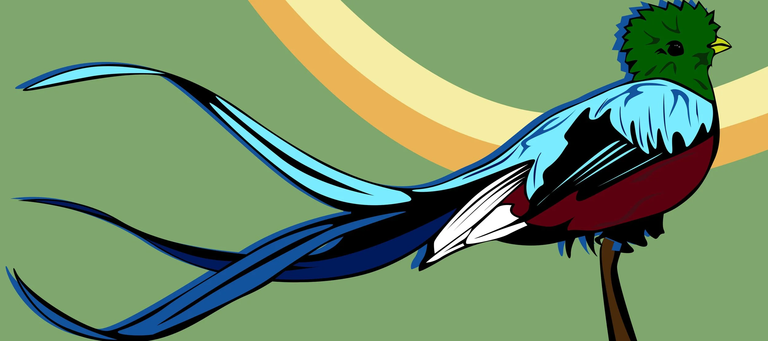 Banner - Resplendent copy.jpg