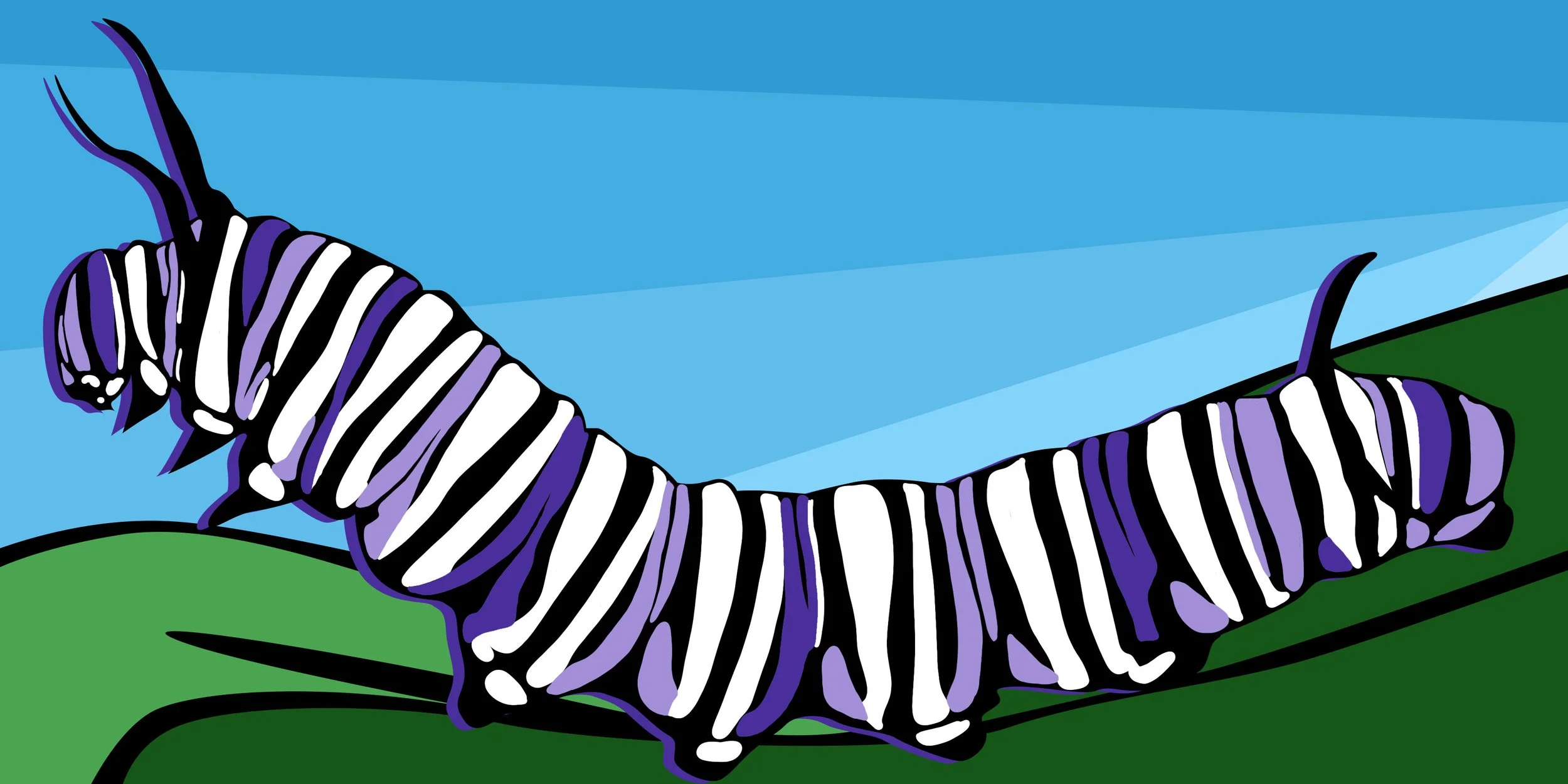 Banner - Caterpillar copy.jpg