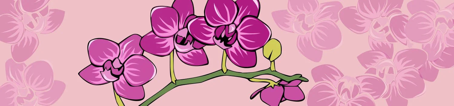 Banner - Orchids.jpg