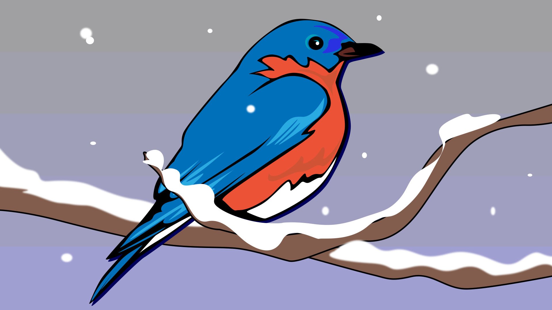 Winter Snow 2025 - Bluebird.jpg