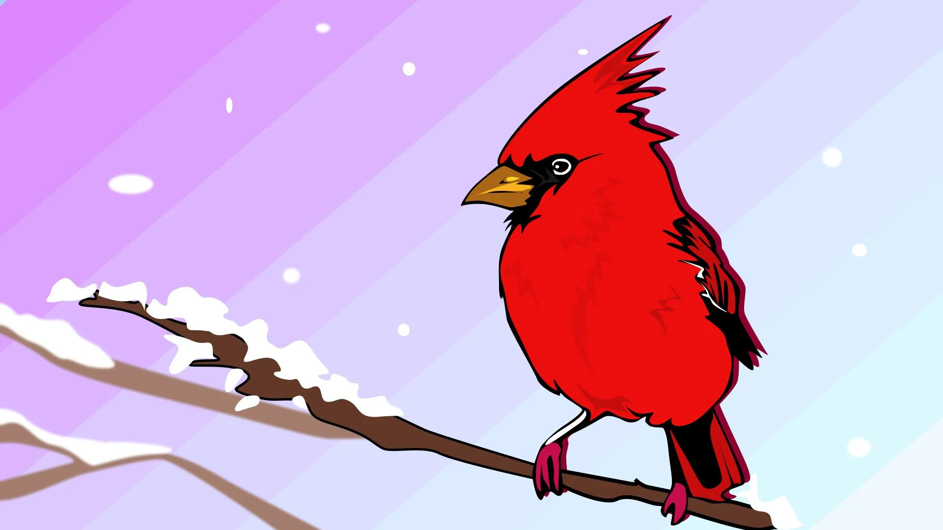 Winter Snow 2025 - Cardinal.jpg