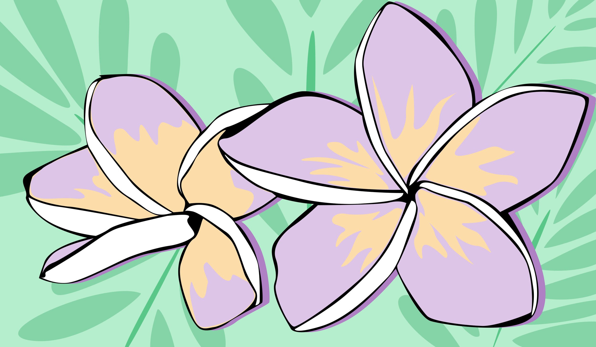 Banner - Plumeria copy.jpg
