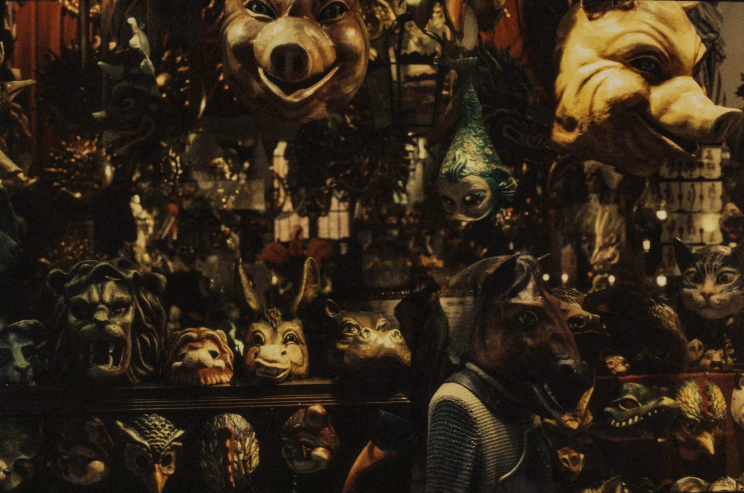 Image 7-24-19 at 3.59 PM.JPG