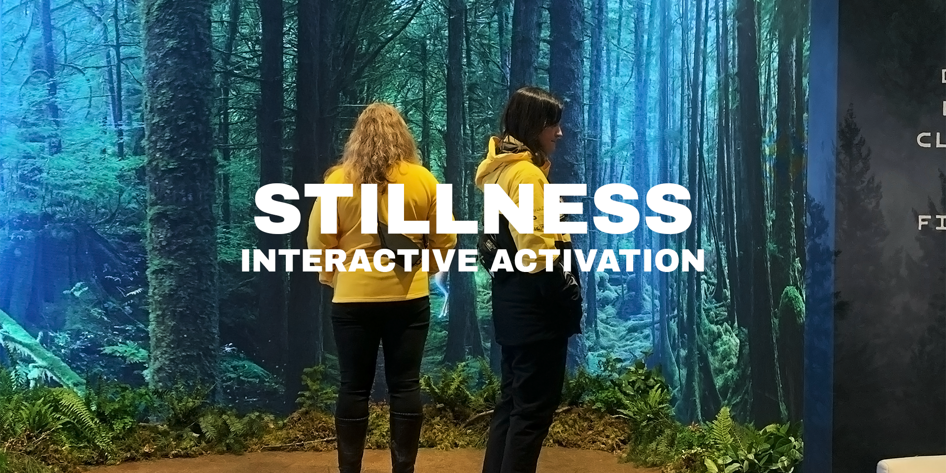 Stillness