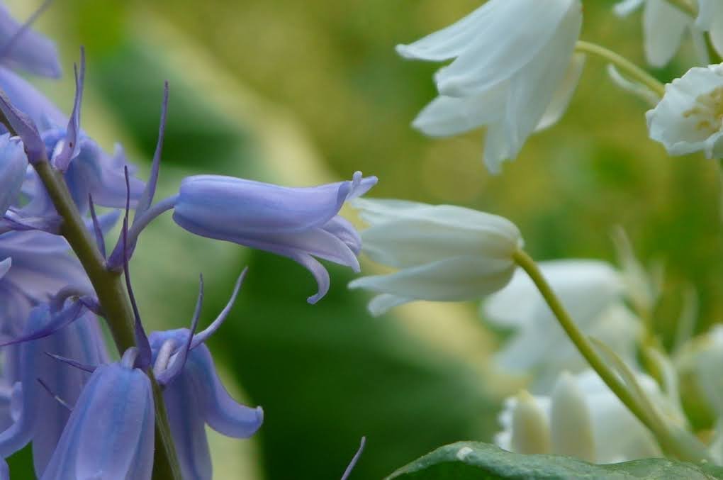 Screenshot 2026-03-02 131126.jpg