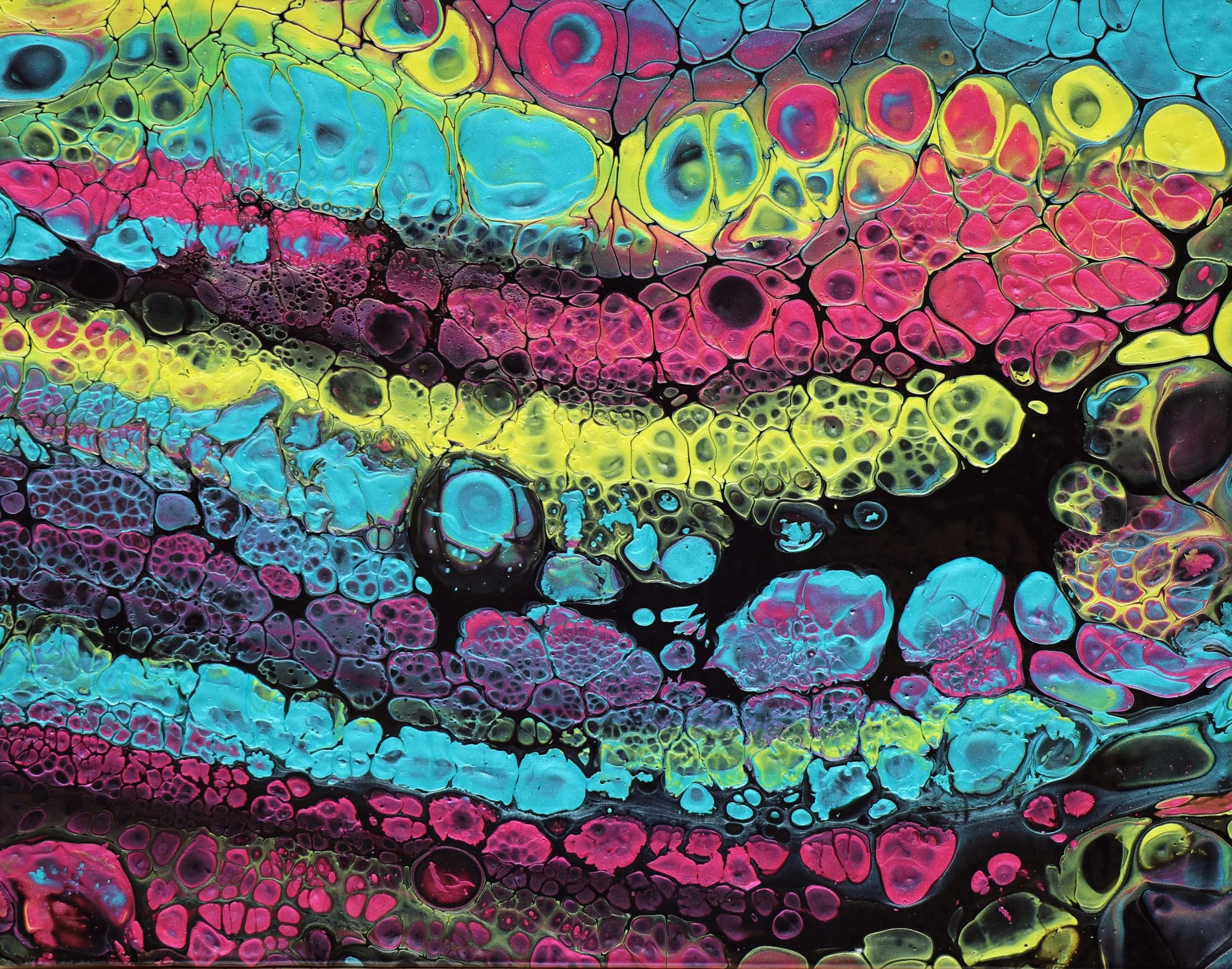 Abstract colorful fluid art with vibrant pink, yellow, blue, and black cells and patterns.