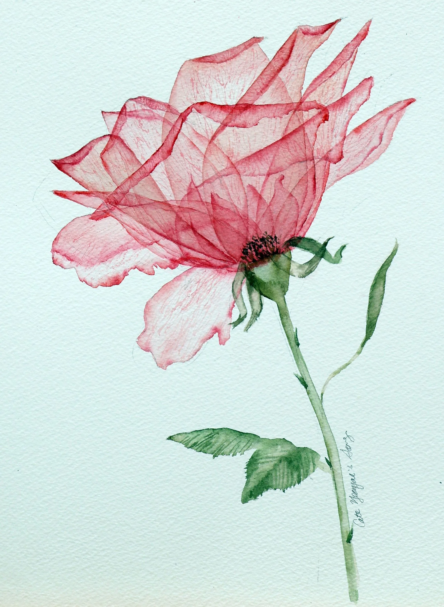 Instructor: Olga Koelsch