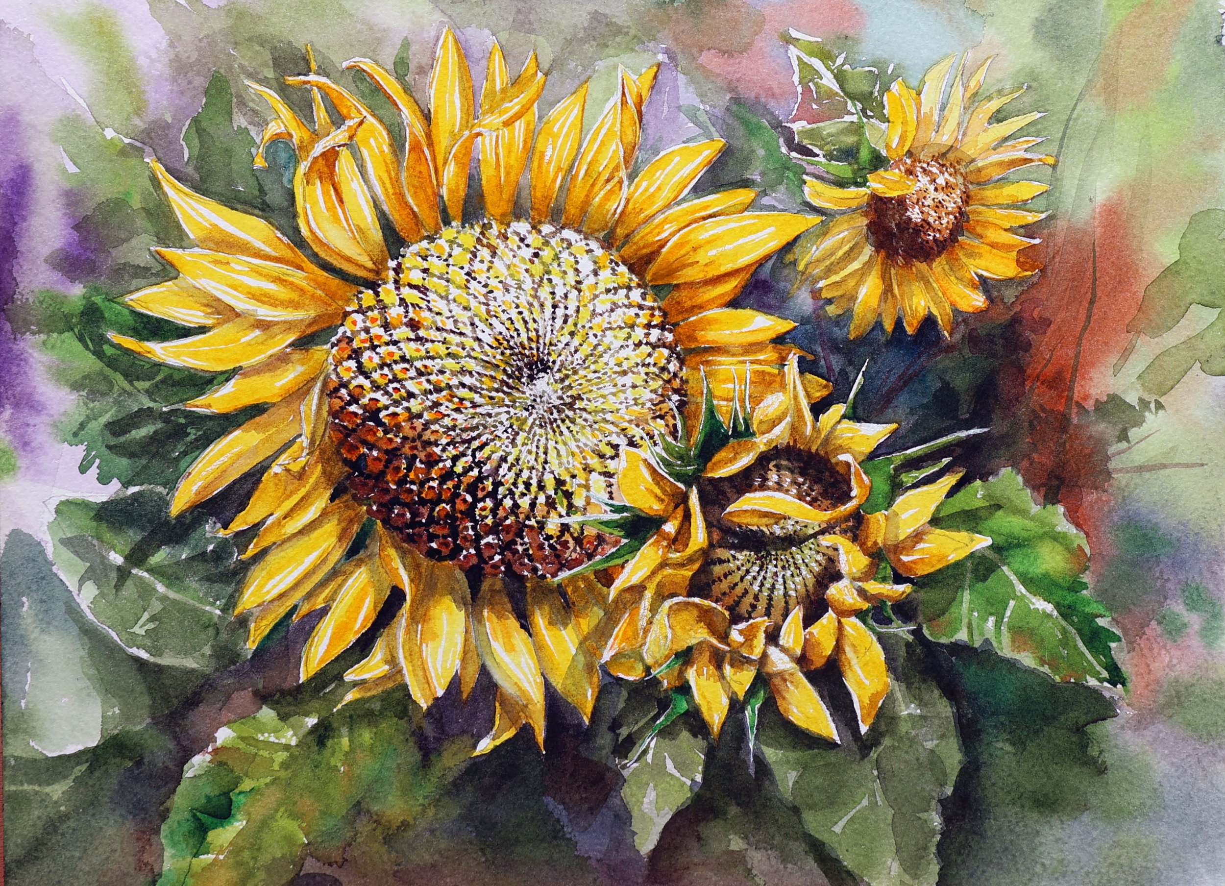 Instructor: Jongshik Shin