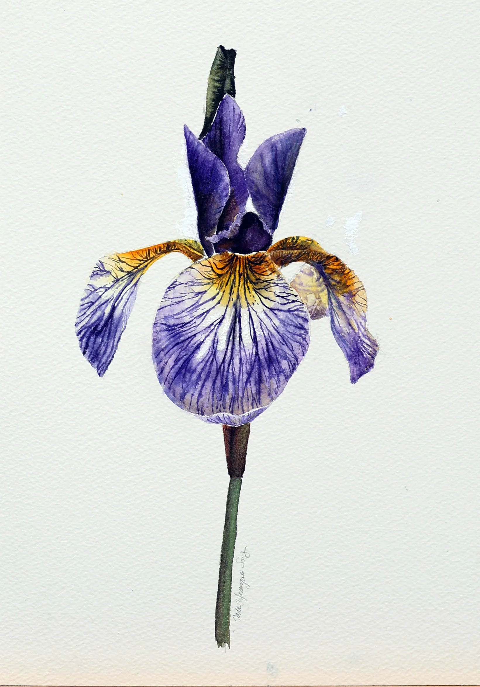 art classes, art painting, painting, abstract painting, colored painting, acrylic painting, watercolor painting