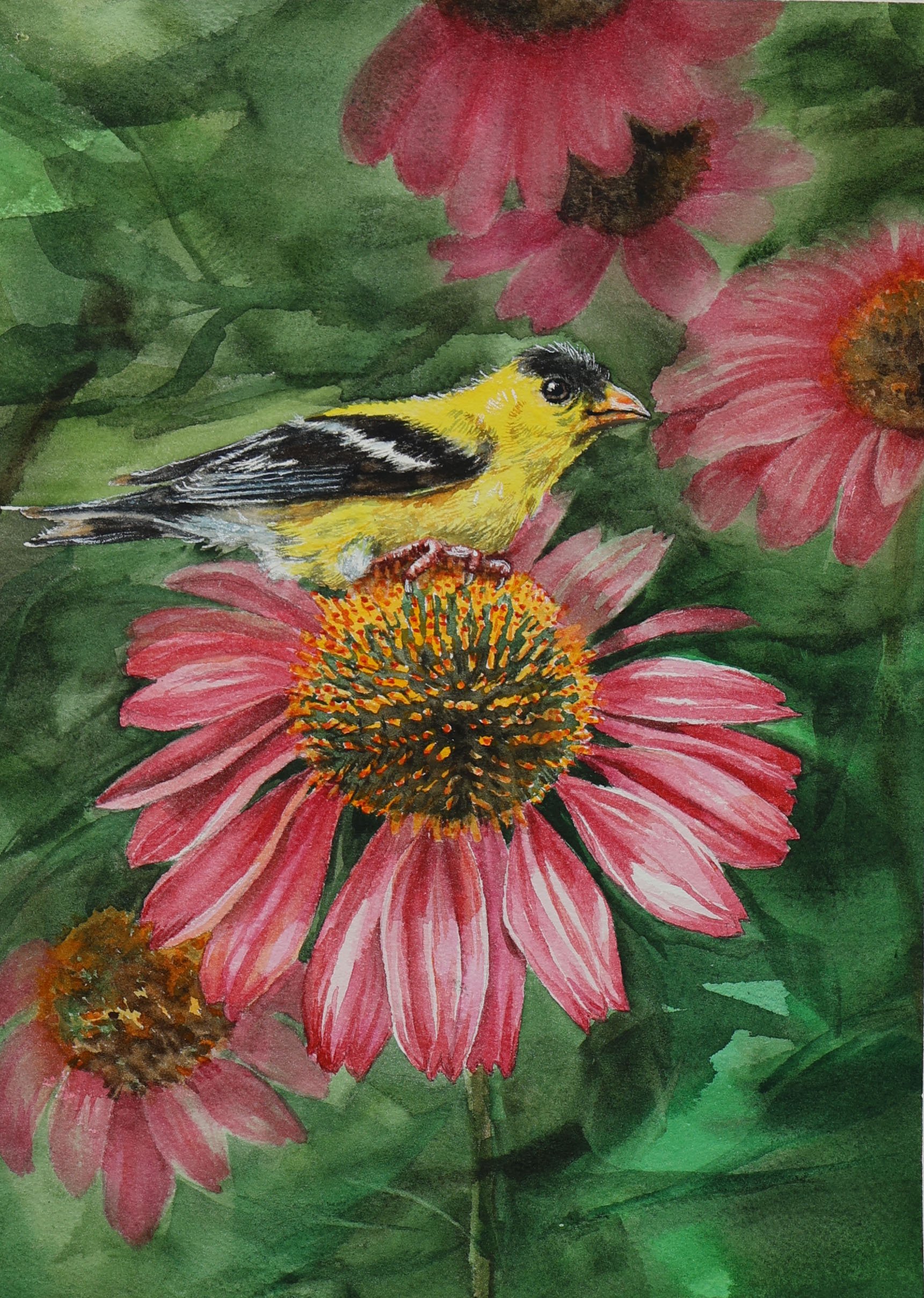 Watercolor painting of a small yellow and black bird perched on a pink coneflower with green leaves in the background.