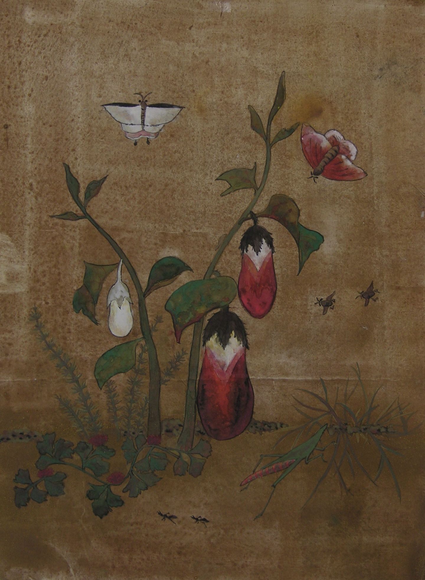 A painting of a plant with large red and white flowers, butterflies, and small insects against a brown background.