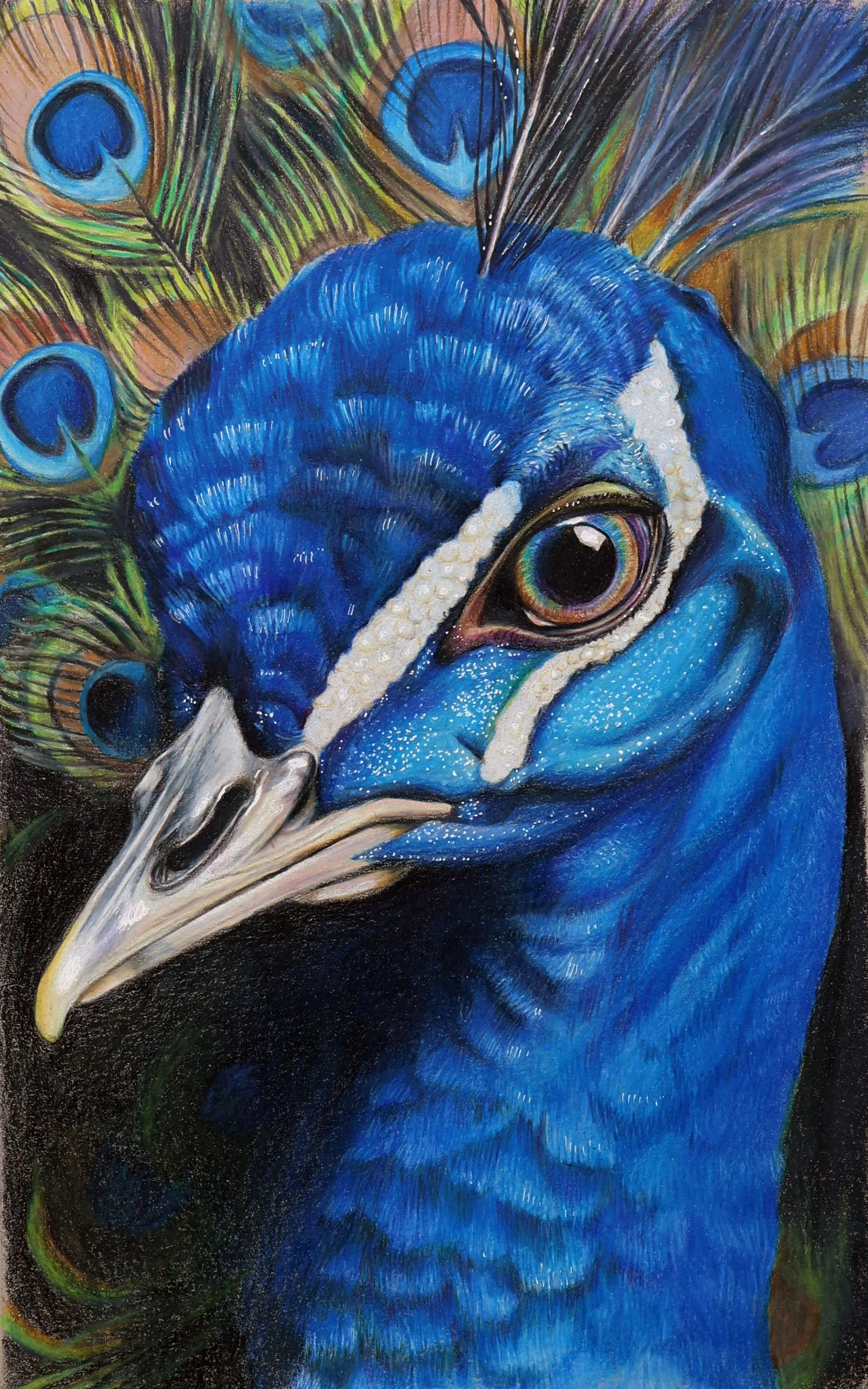 art classes, art painting, painting, abstract painting, colored painting, acrylic painting, watercolor painting, pencil drawing