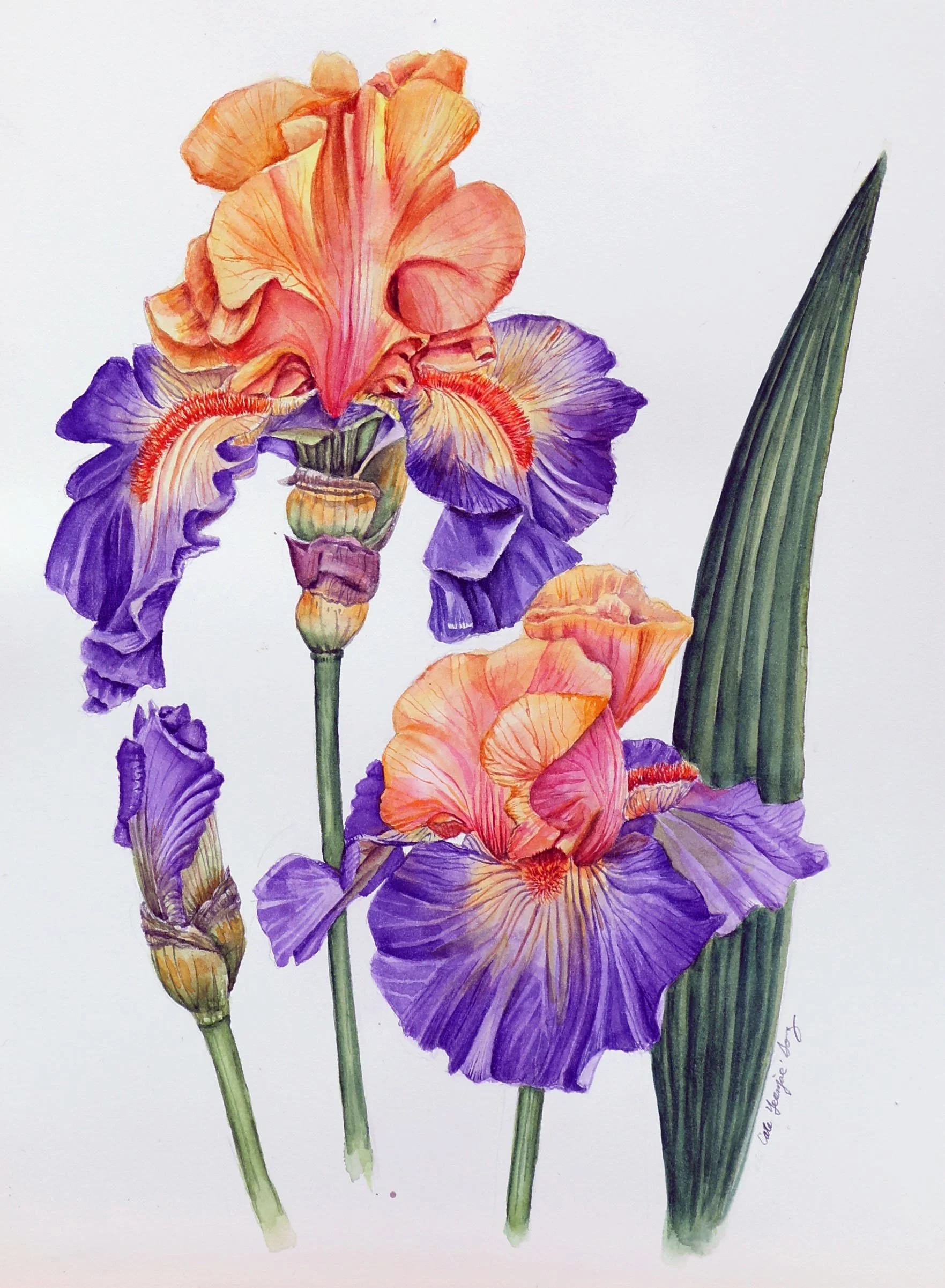 art classes, art painting, painting, abstract painting, colored painting, acrylic painting, watercolor painting