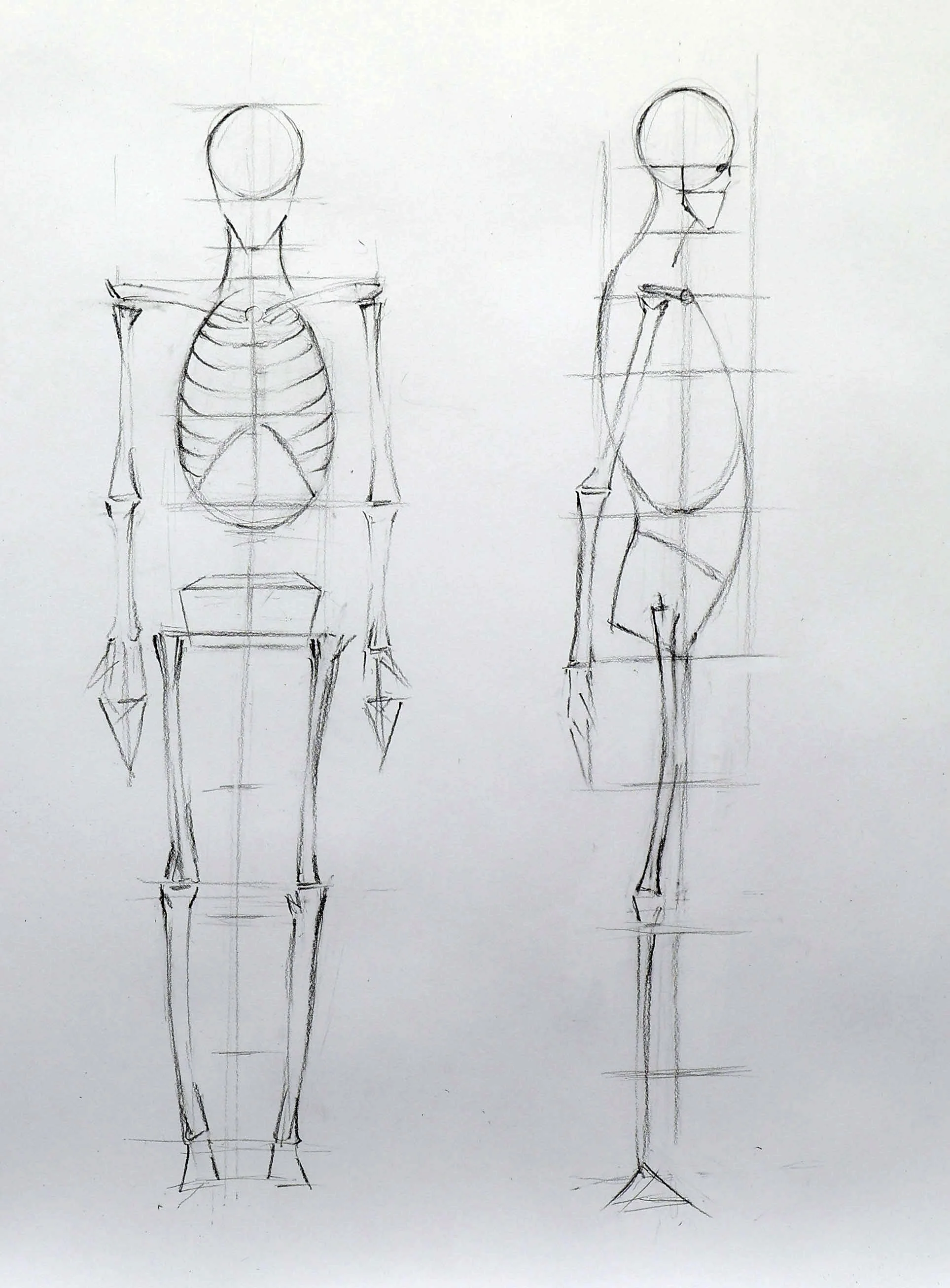 Sketch of a human figure in front and side views, showing basic proportions and skeletal structure.