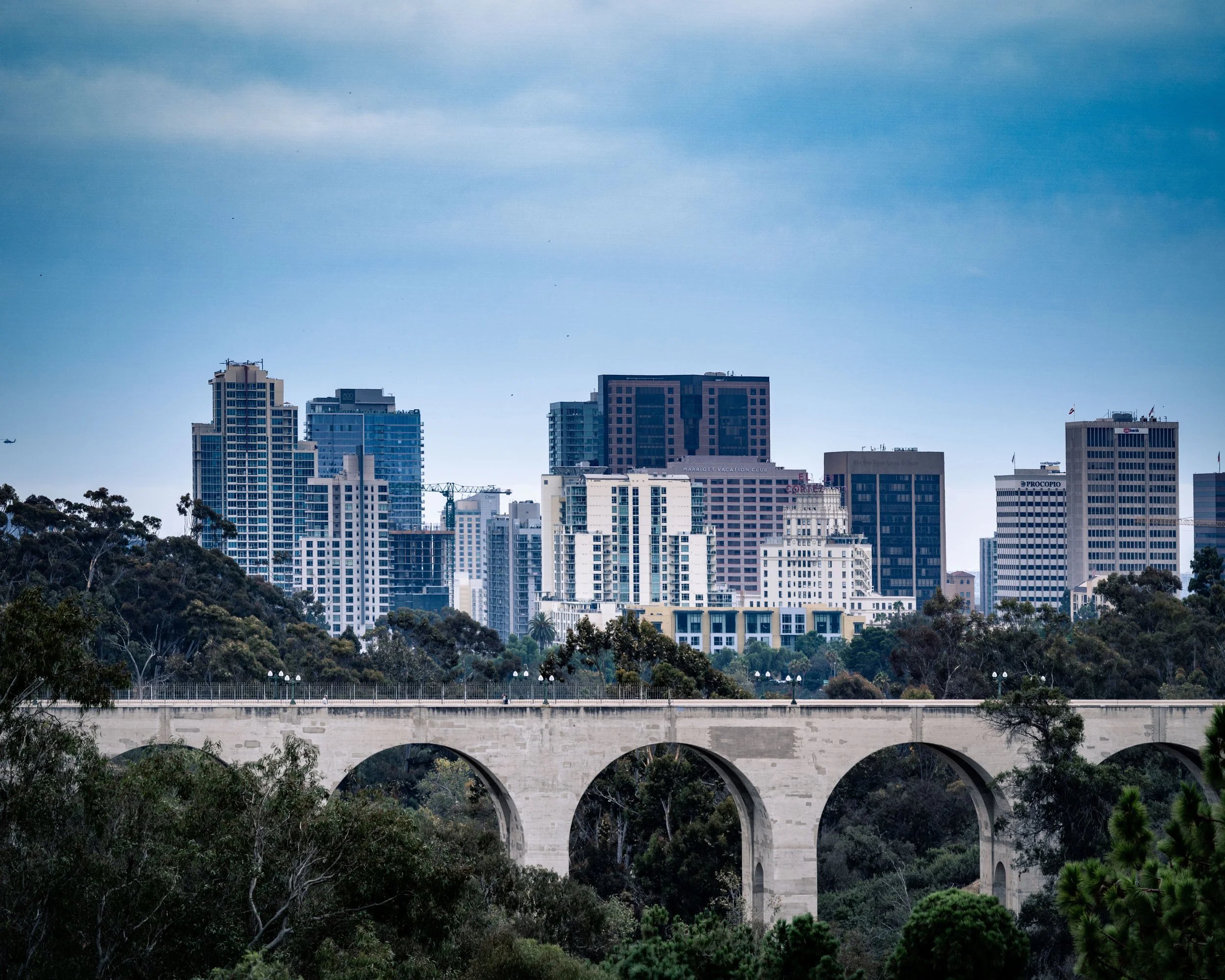 SF_09469.jpg