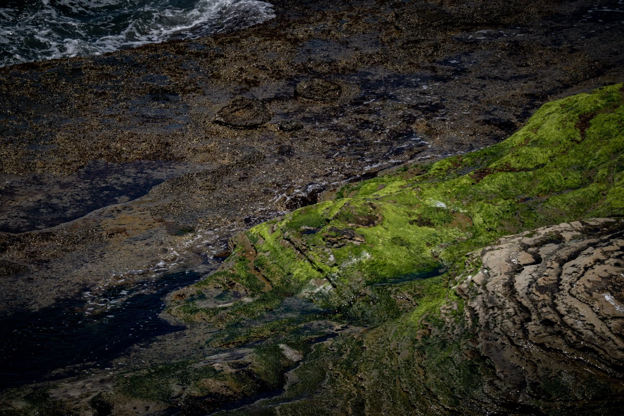 SF_04188.jpg
