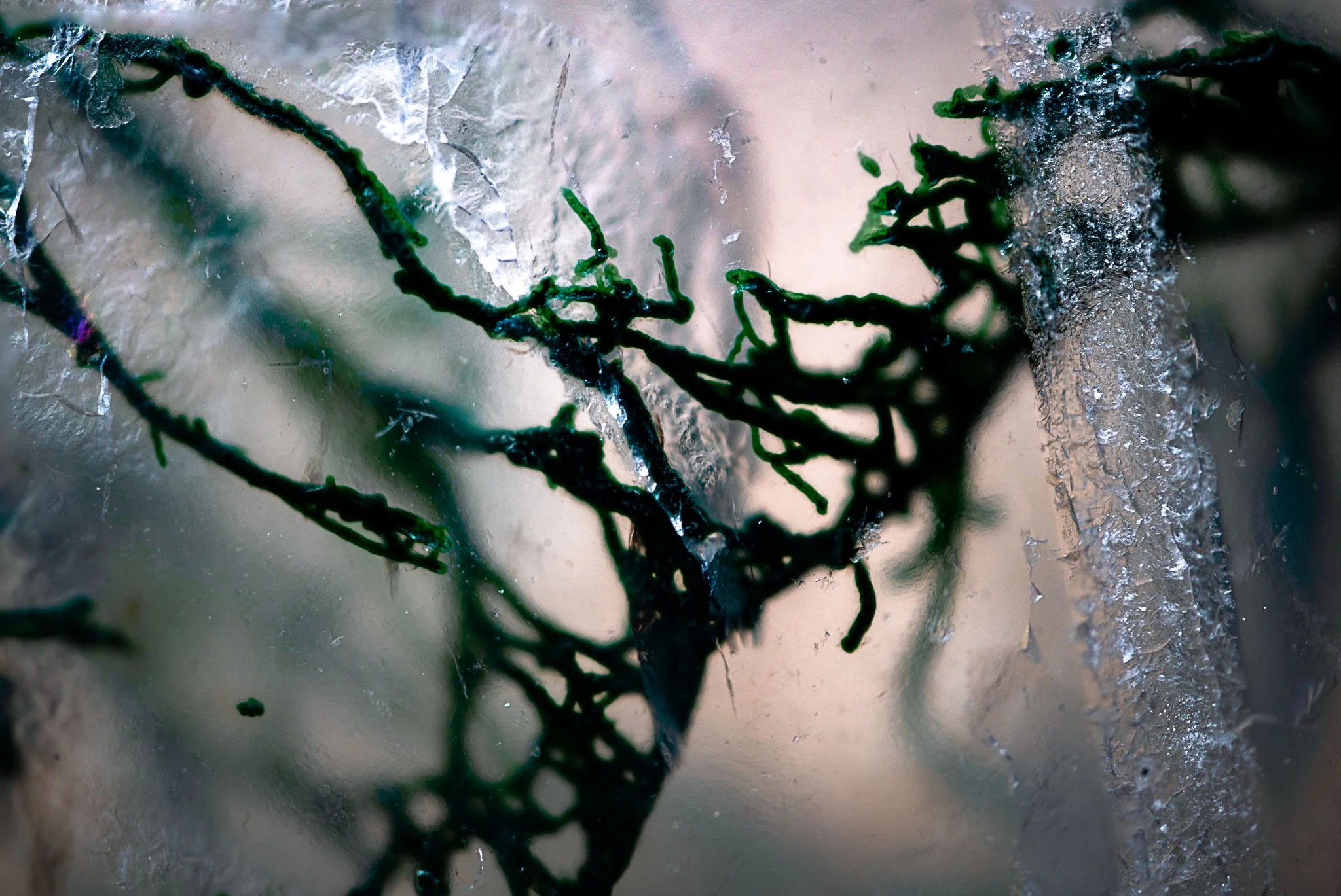 moss agate 3_psb.jpg