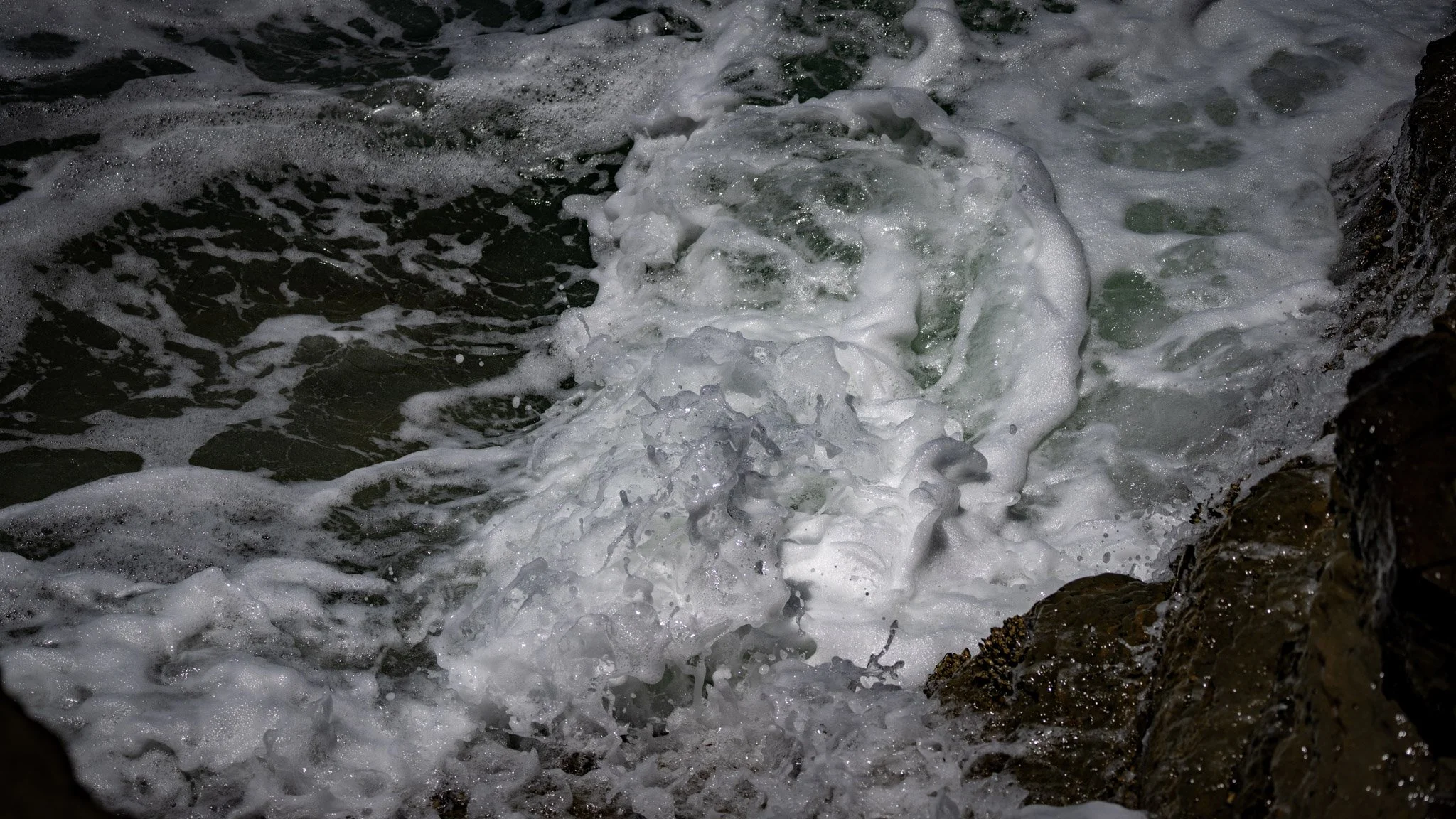 SF_04014.jpg
