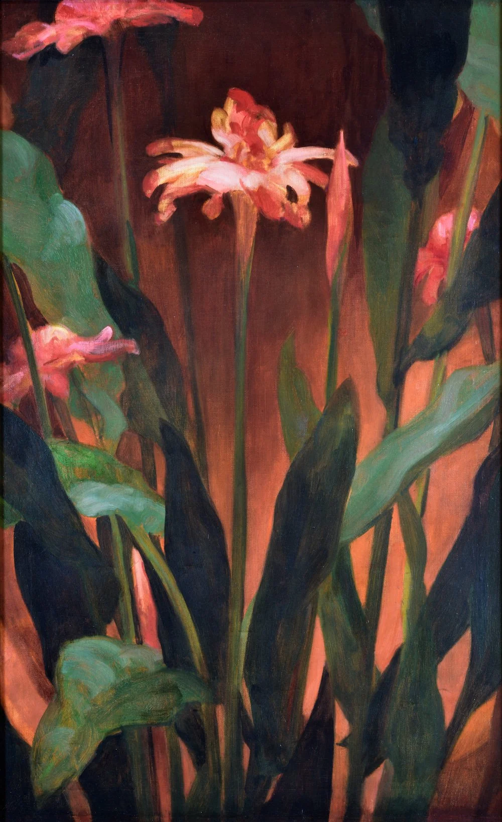 Tall Ginger, 1923-1925,